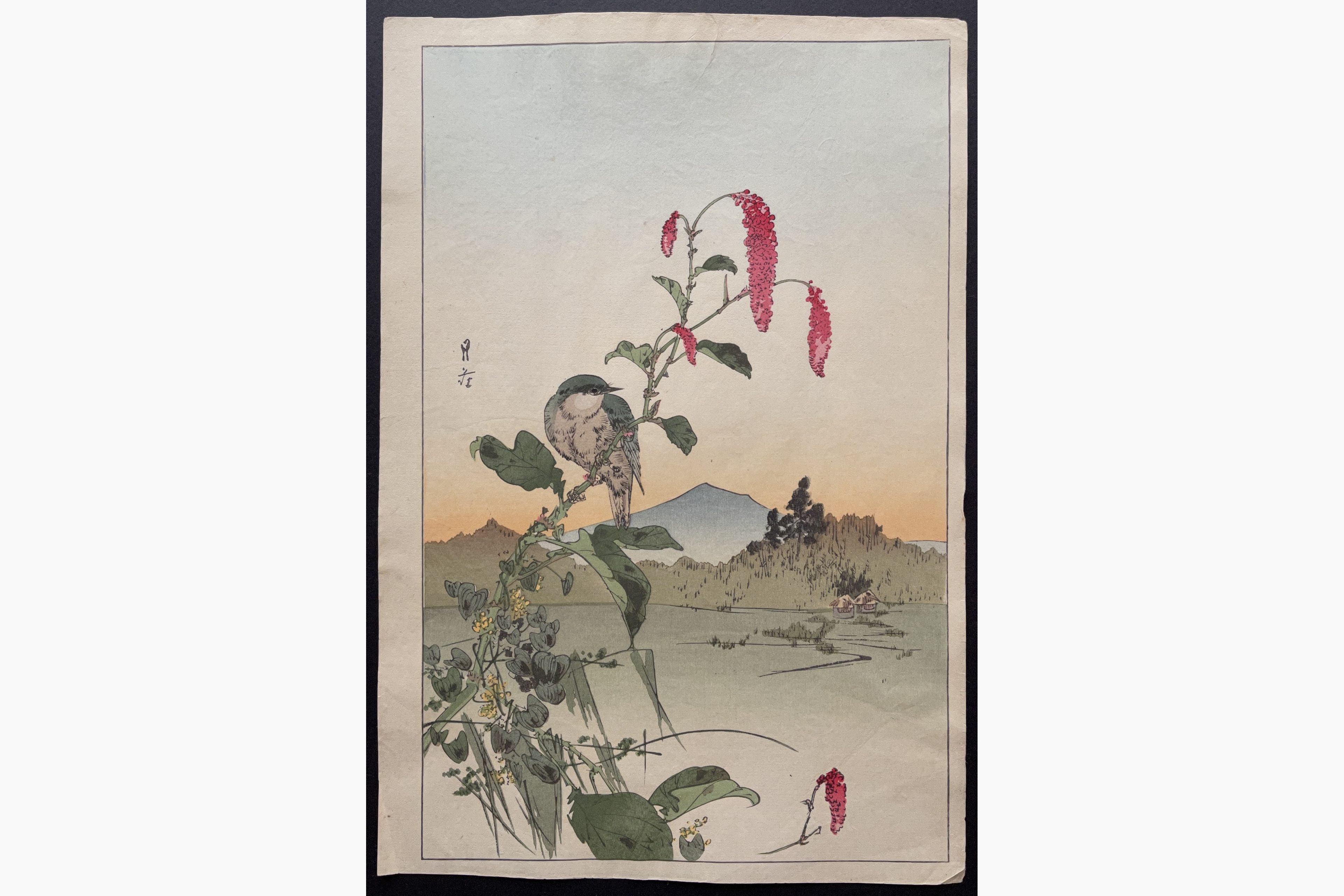 Japanese woodblock print - Gesso Yoshimoto - A Bunting