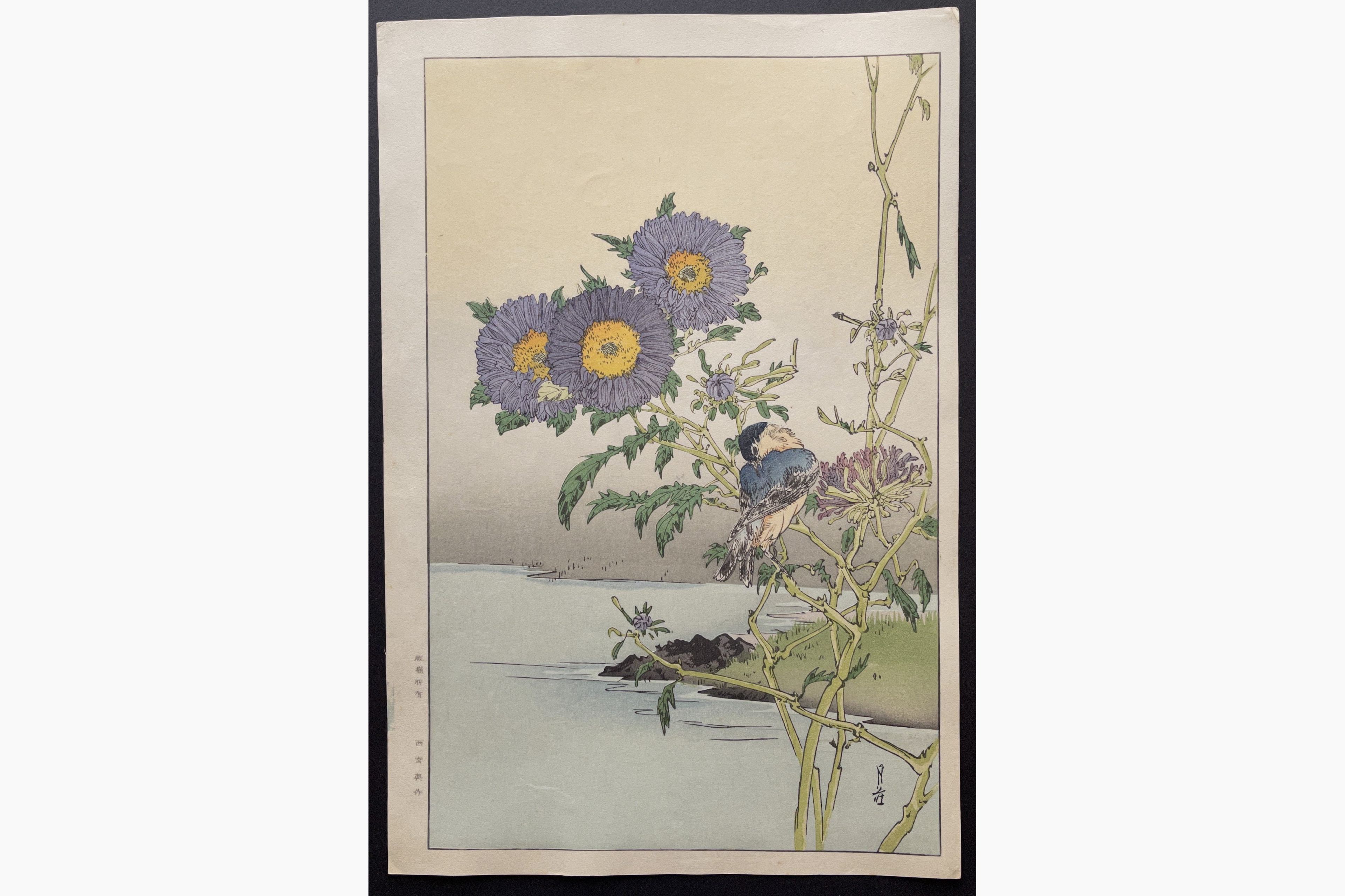 Japanese woodblock print - Gesso Yoshimoto - Blue Bird and Asters