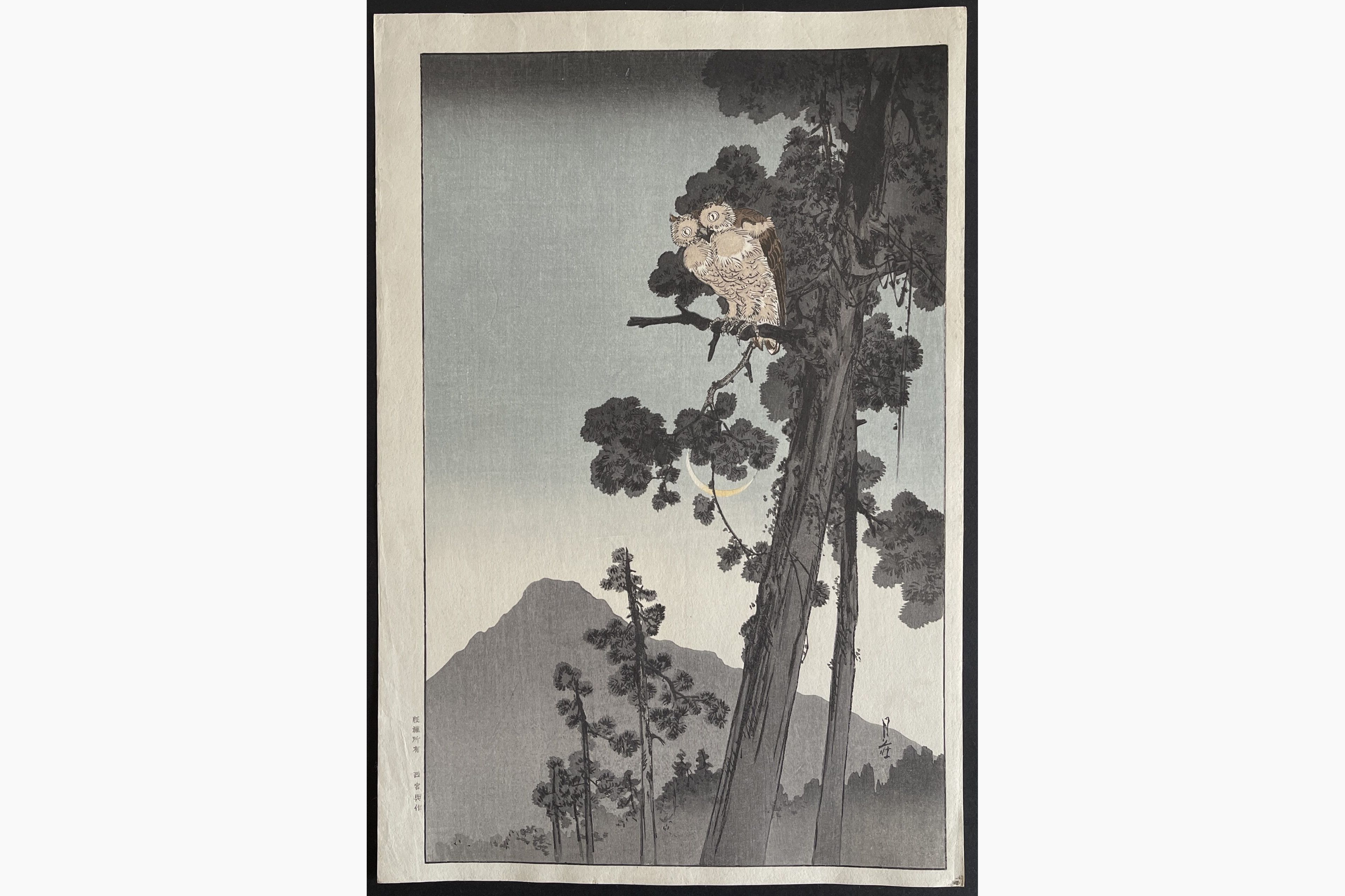 Japanese woodblock print - Gesso Yoshimoto - Owl in the Evening