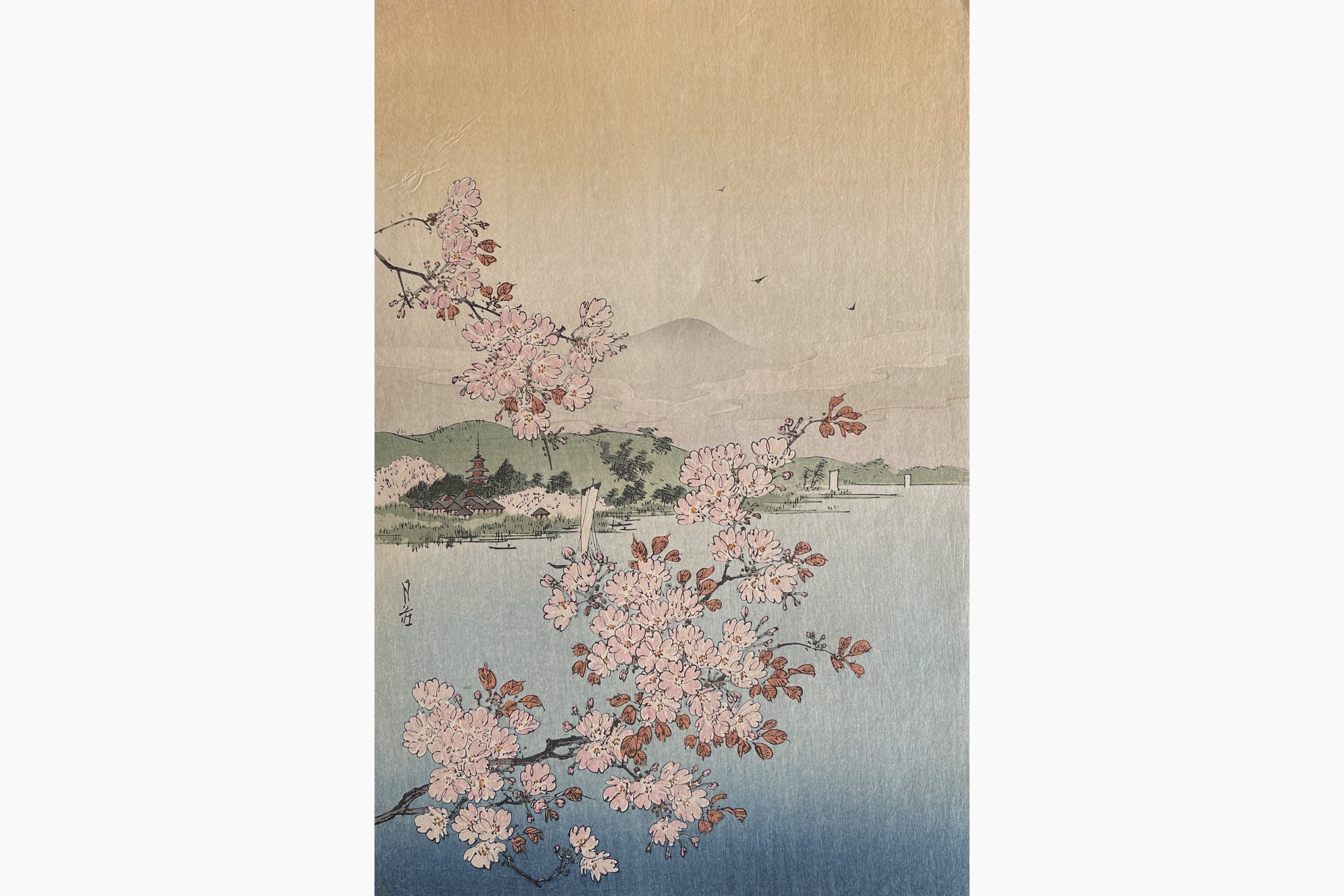 Original woodblock print - Gesso Yoshimoto - Cherry Trees above the Water