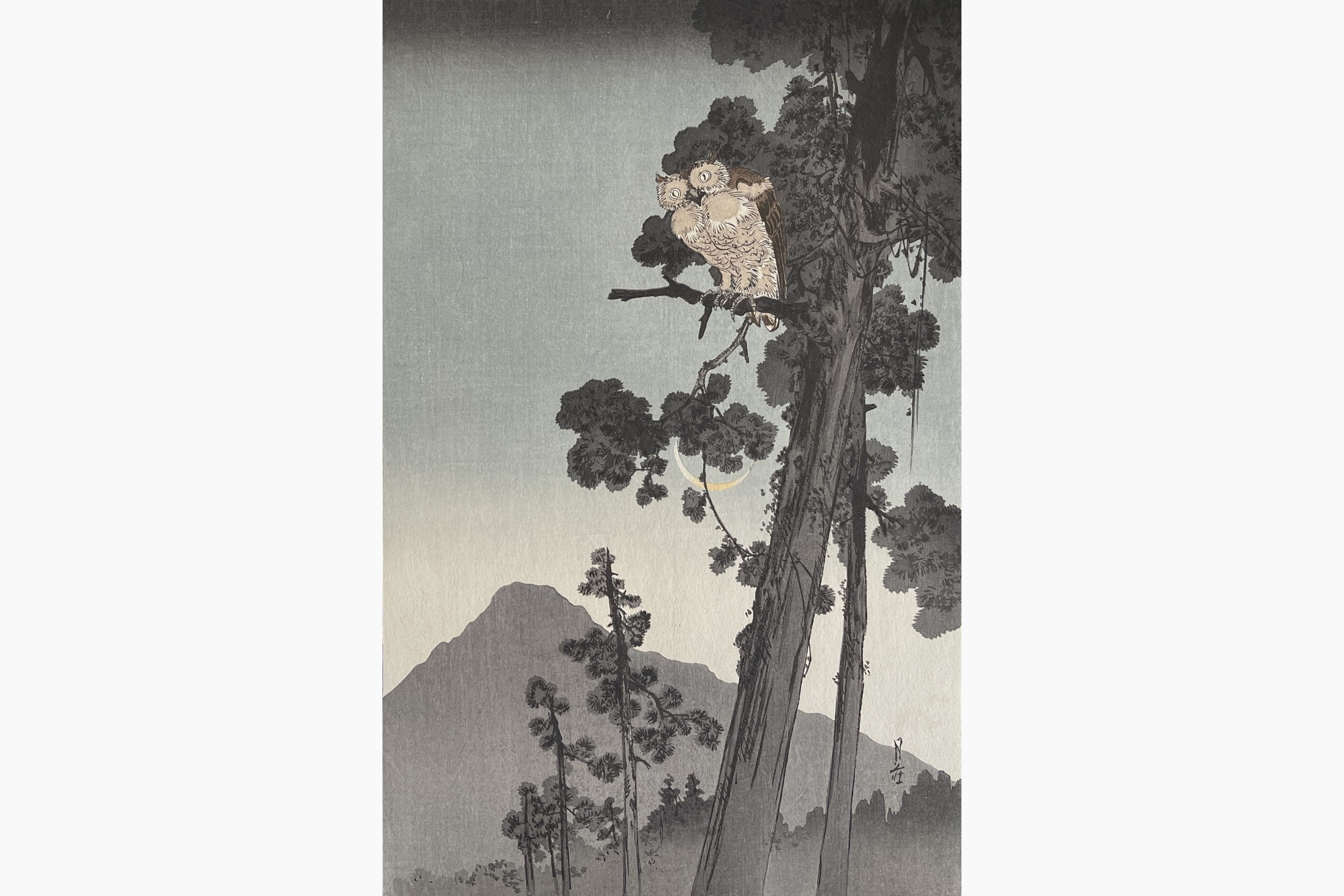 Original woodblock print - Gesso Yoshimoto - Owl in the Evening