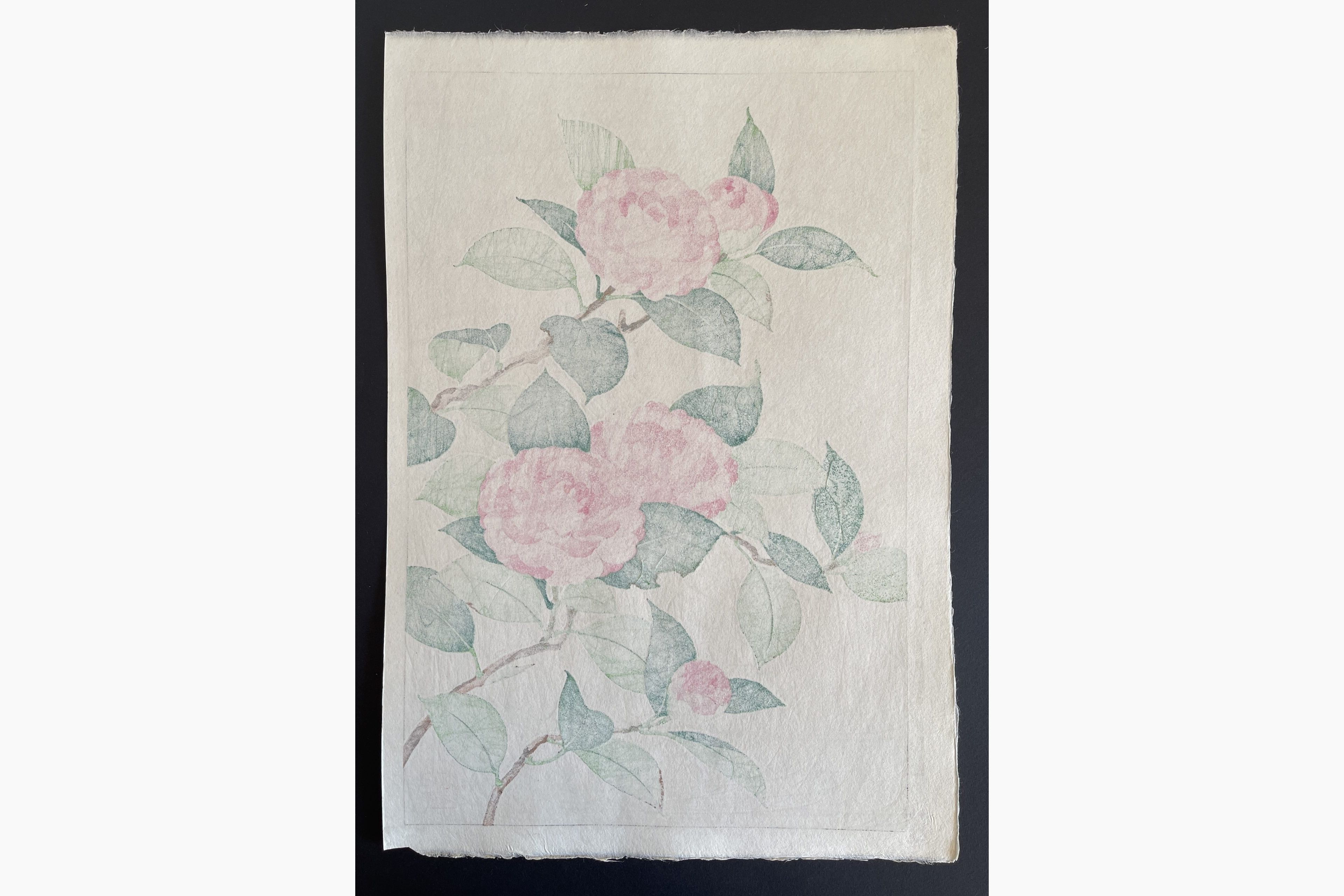 Japanese print - Kawarazaki Shodo - Camelia
