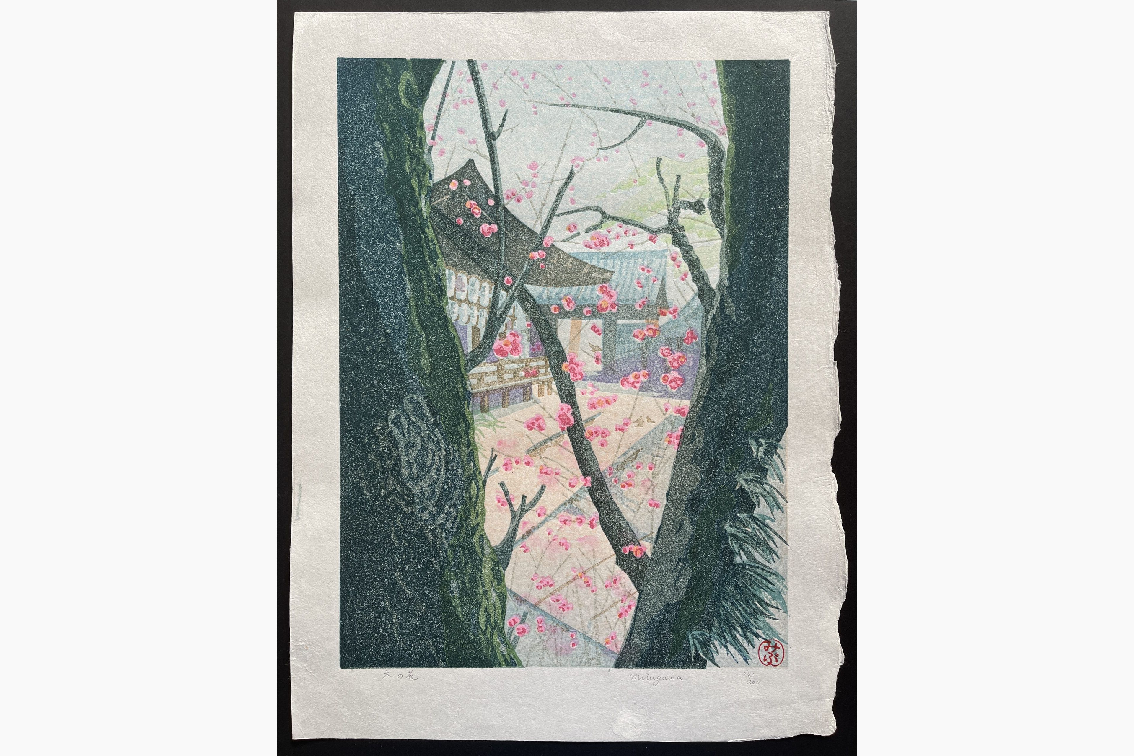 Japanese woodblock print - Junichi Mibugawa - Tree Flowers