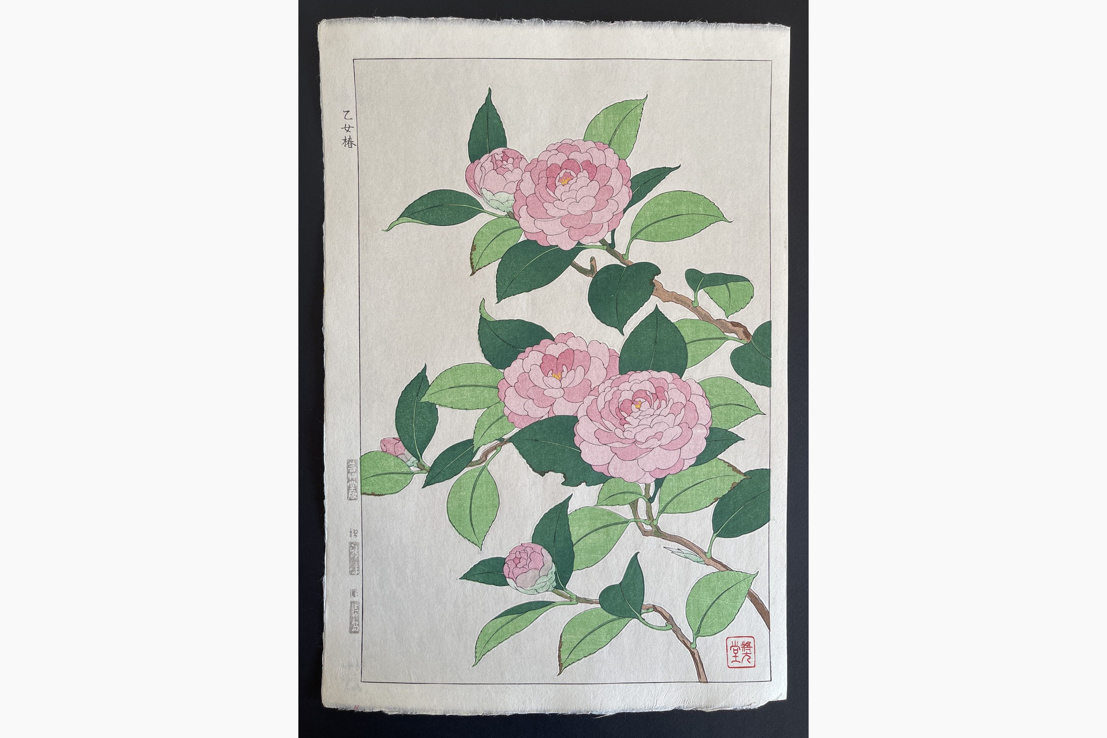 Japanese woodblock print - Kawarazaki Shodo - Camelia