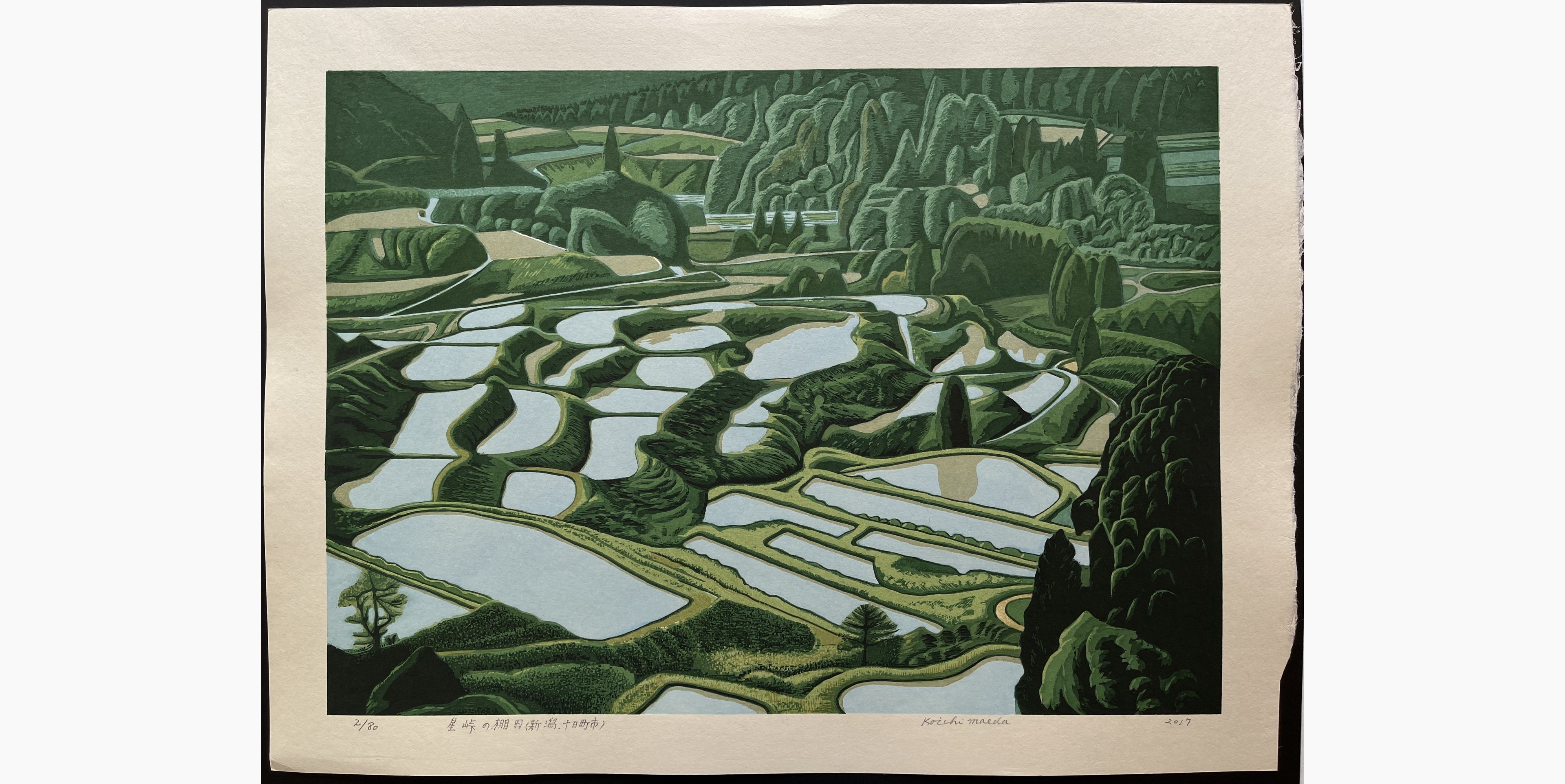 Japanese woodblock print - Koichi Maeda - Rice Terraces in Hoshitoge (Niigata, Tokamachi)