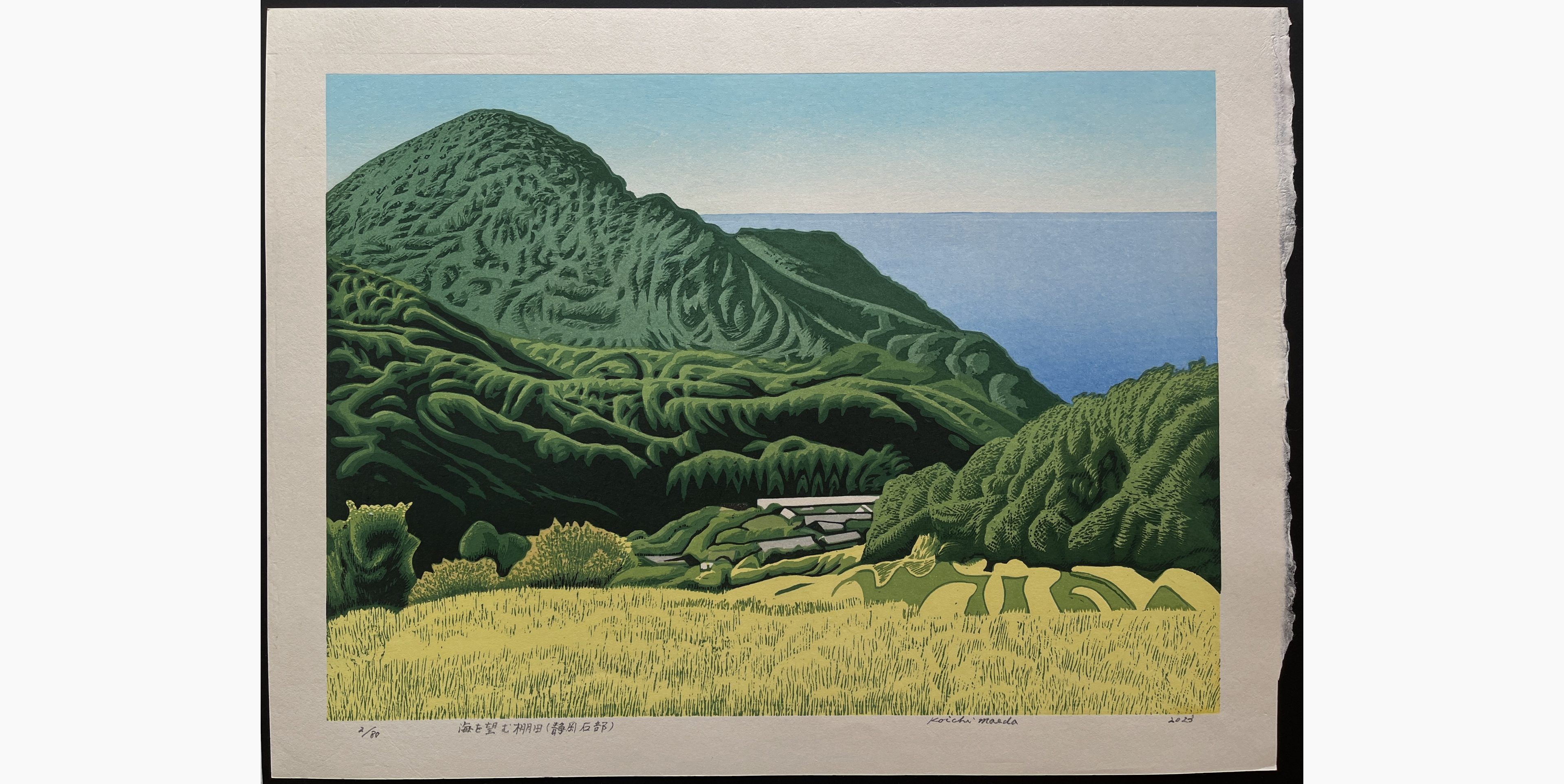 Japanese woodblock print - Koichi Maeda - Terraced rice fields overlooking the sea (Shizuoka, Ishibu)