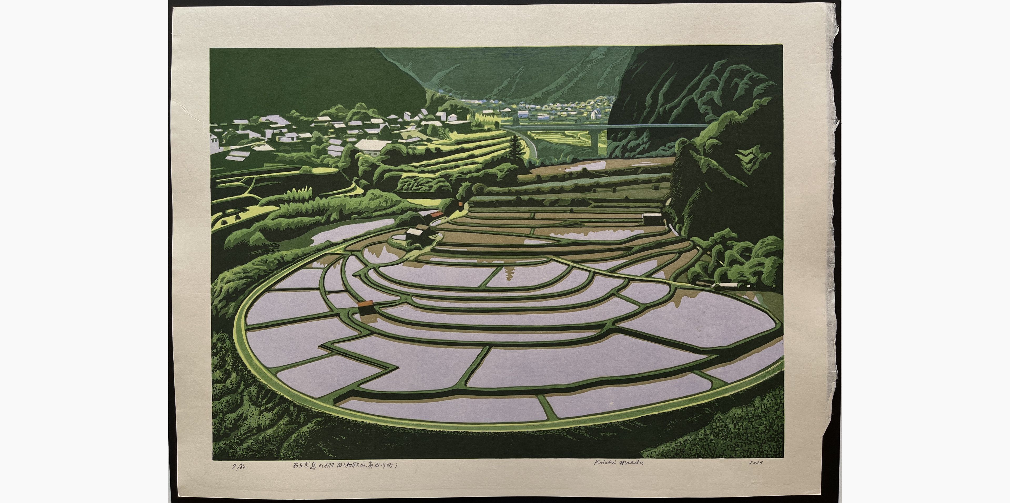 Japanese woodblock print - Koichi Maeda - The terraced rice fields of Aragi Island (Wakayama, Aridagawa Town).