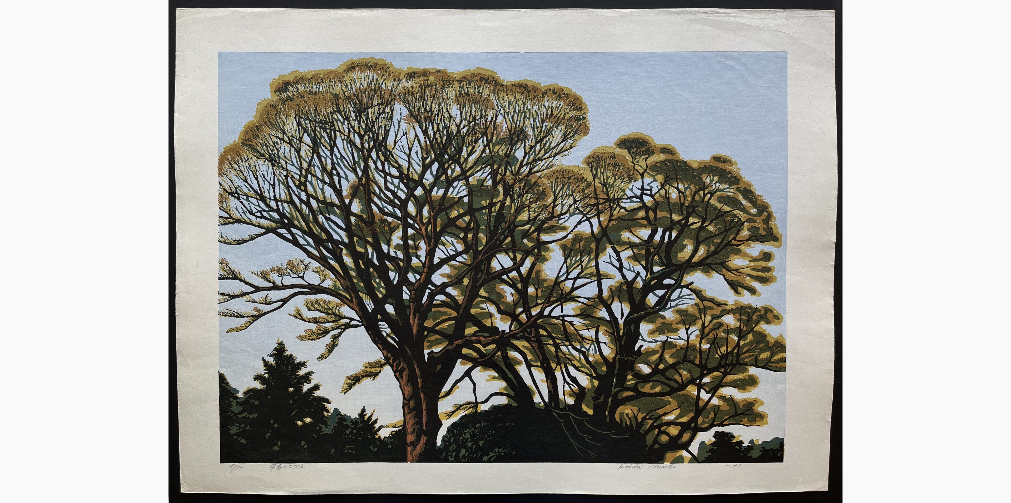 Japanese woodblock print - Koichi Maeda - Treetops in Early Spring