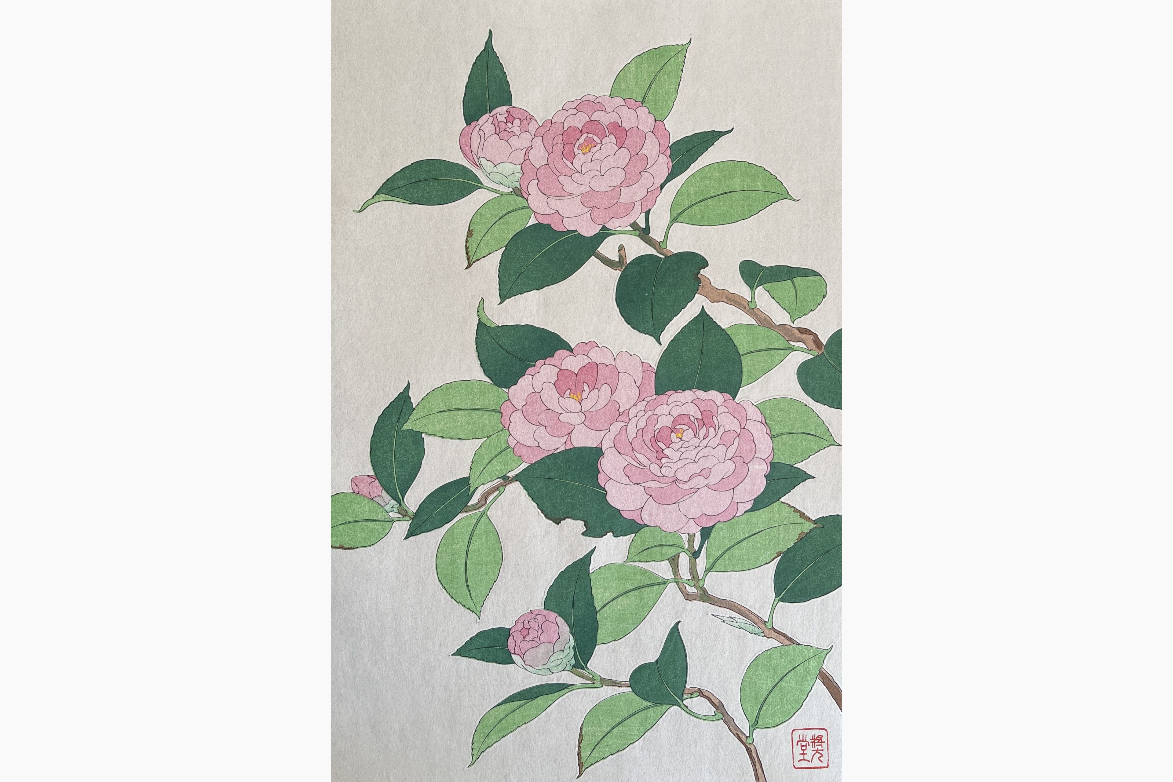 Original woodblock print - Kawarazaki Shodo - Camelia