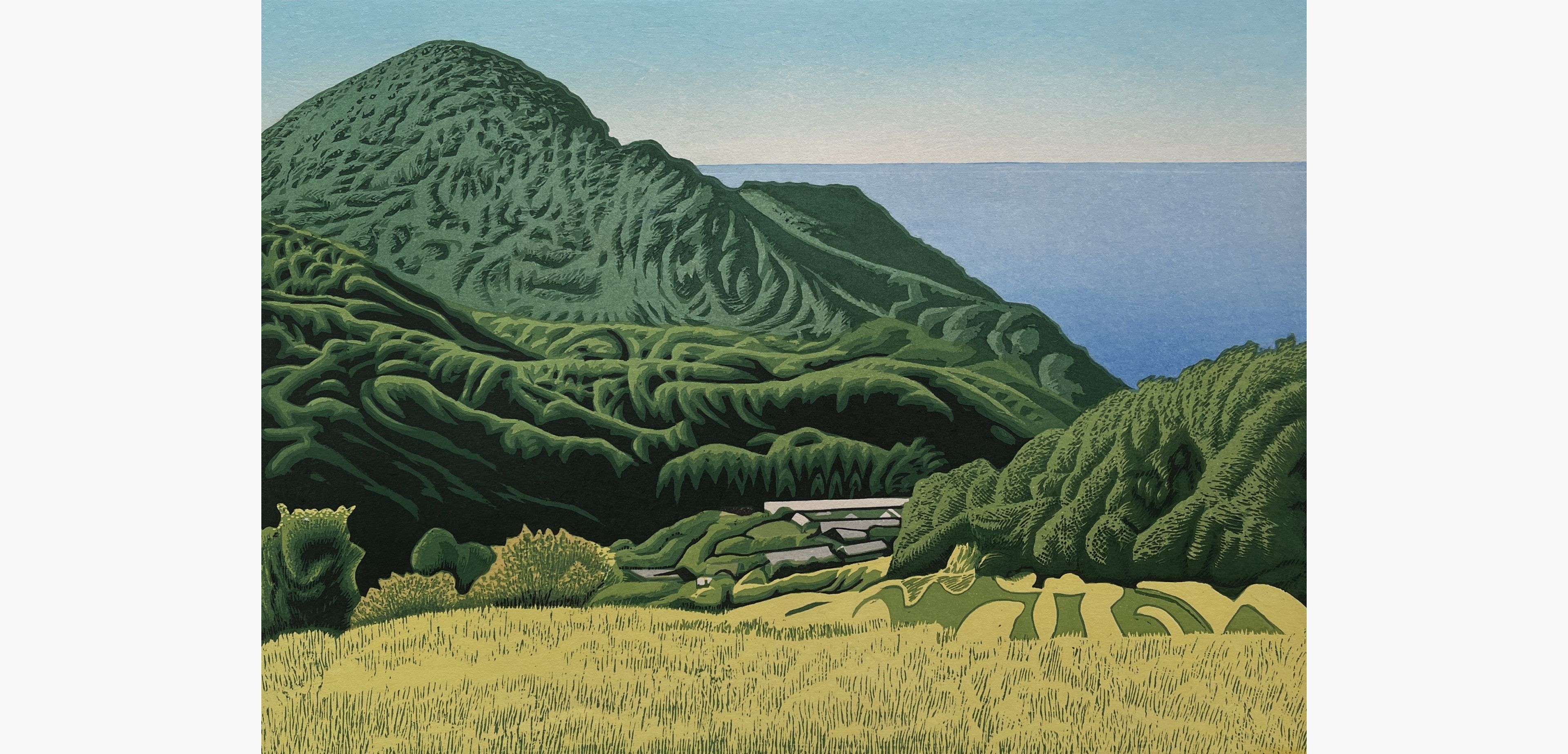 Original woodblock print - Koichi Maeda - Terraced rice fields overlooking the sea (Shizuoka, Ishibu)