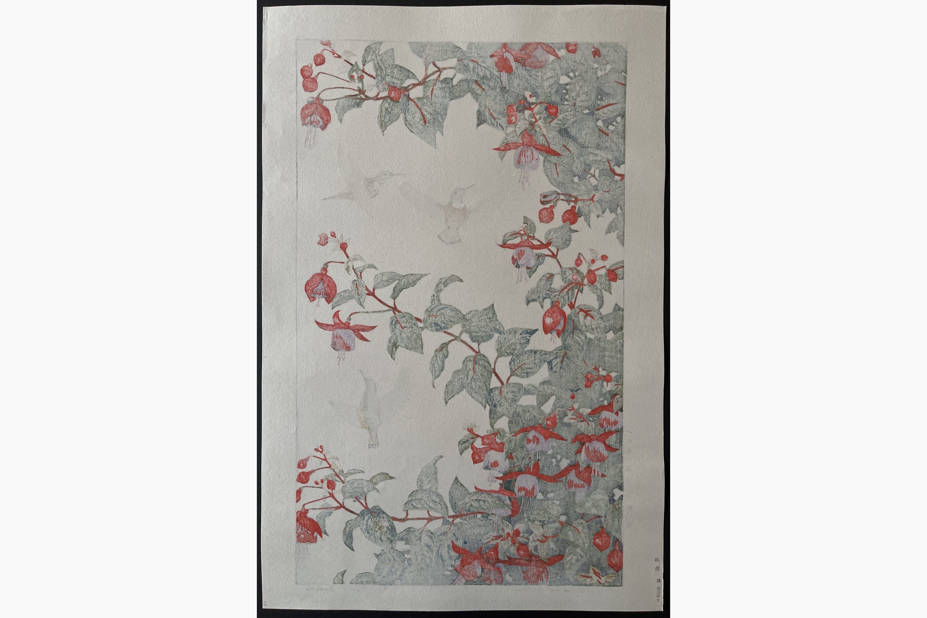 Japanese print - Toshi Yoshida - Hummingbirds and Fuchsia