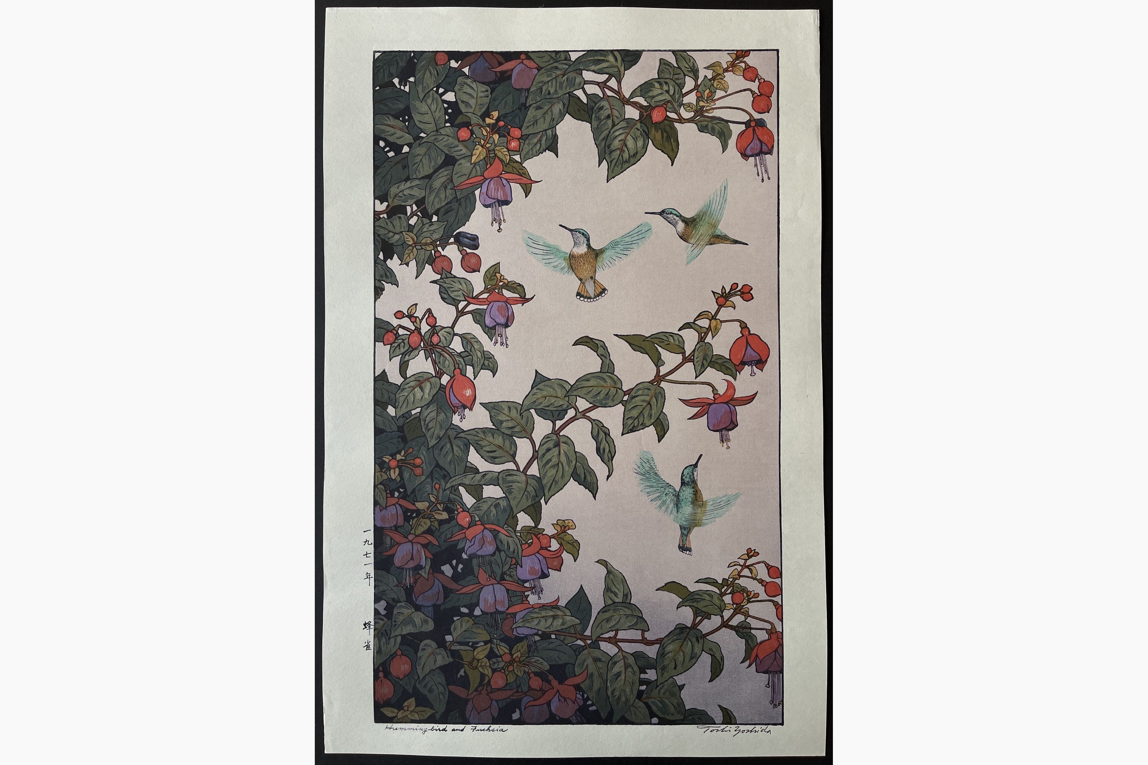 Japanese woodblock print - Toshi Yoshida - Hummingbirds and Fuchsia