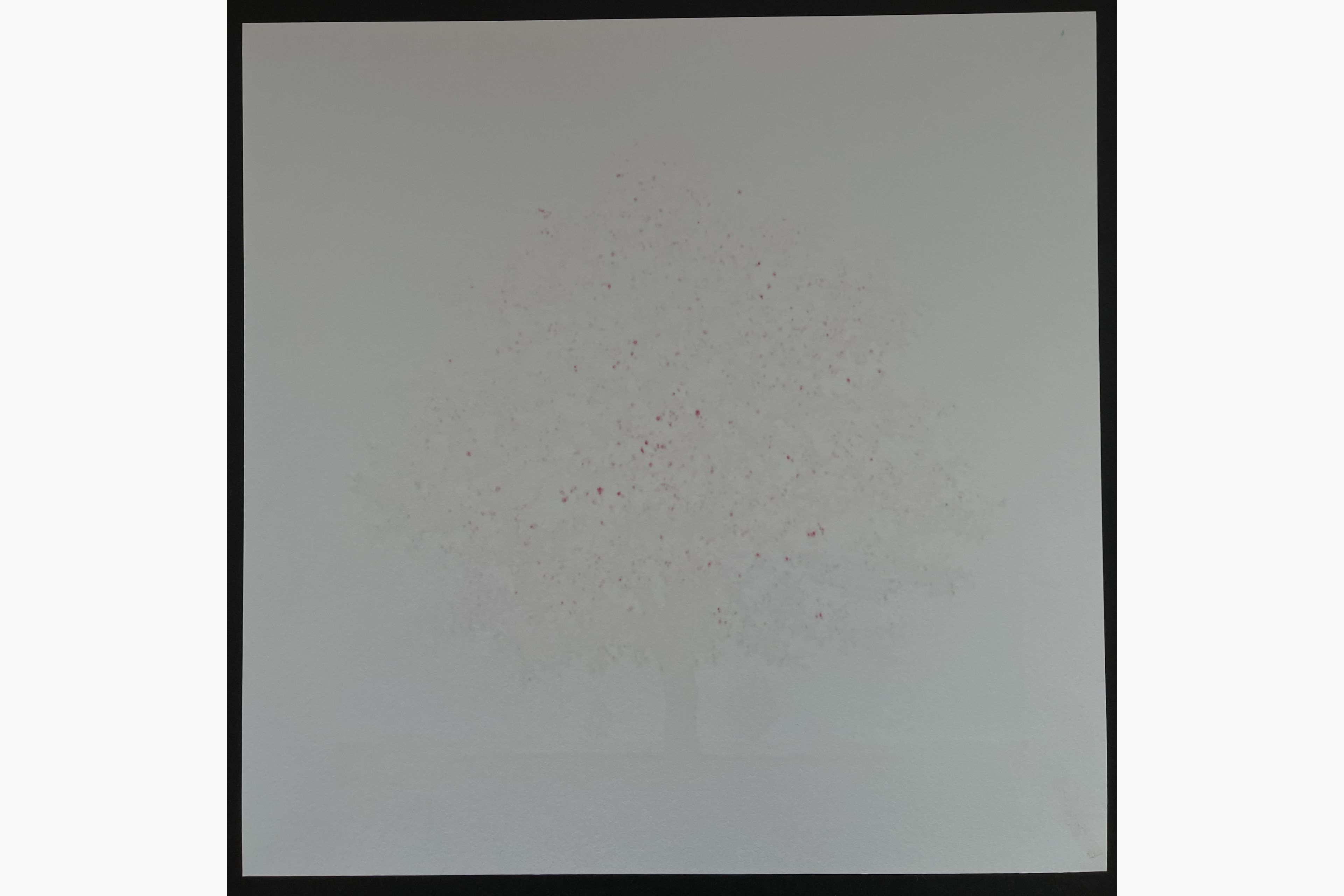 Woodblock print - Hajime Namiki - Dogwood 13