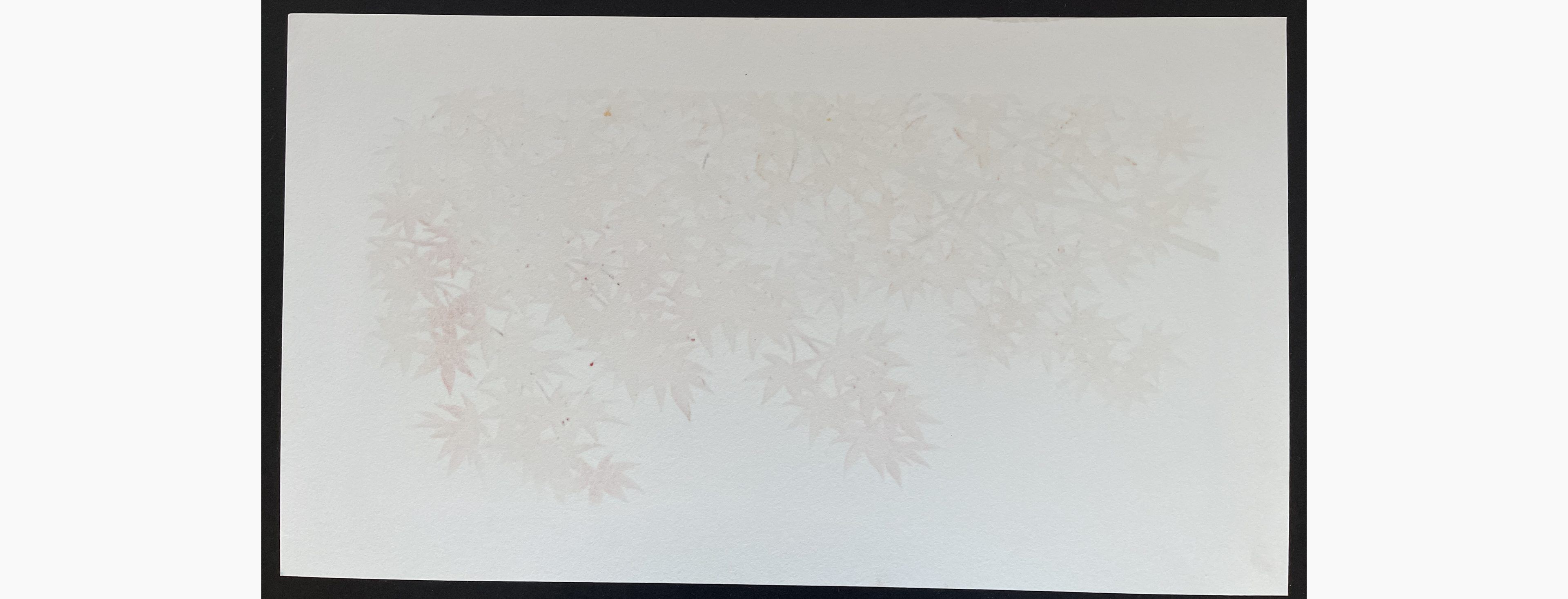 Woodblock print - Hajime Namiki - Momiji 3