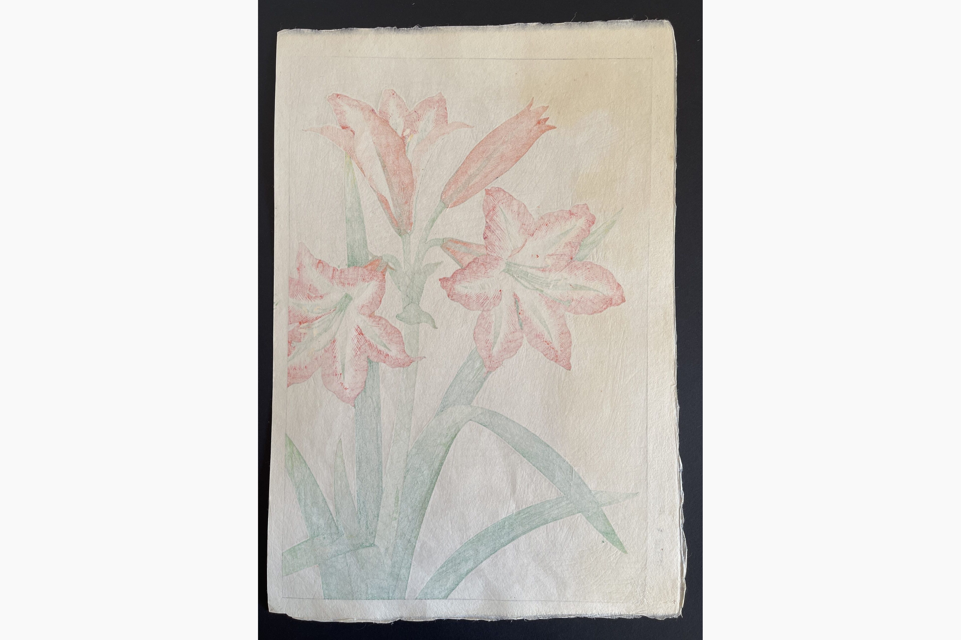 Japanese print - Kawarazaki Shodo - Amaryllis