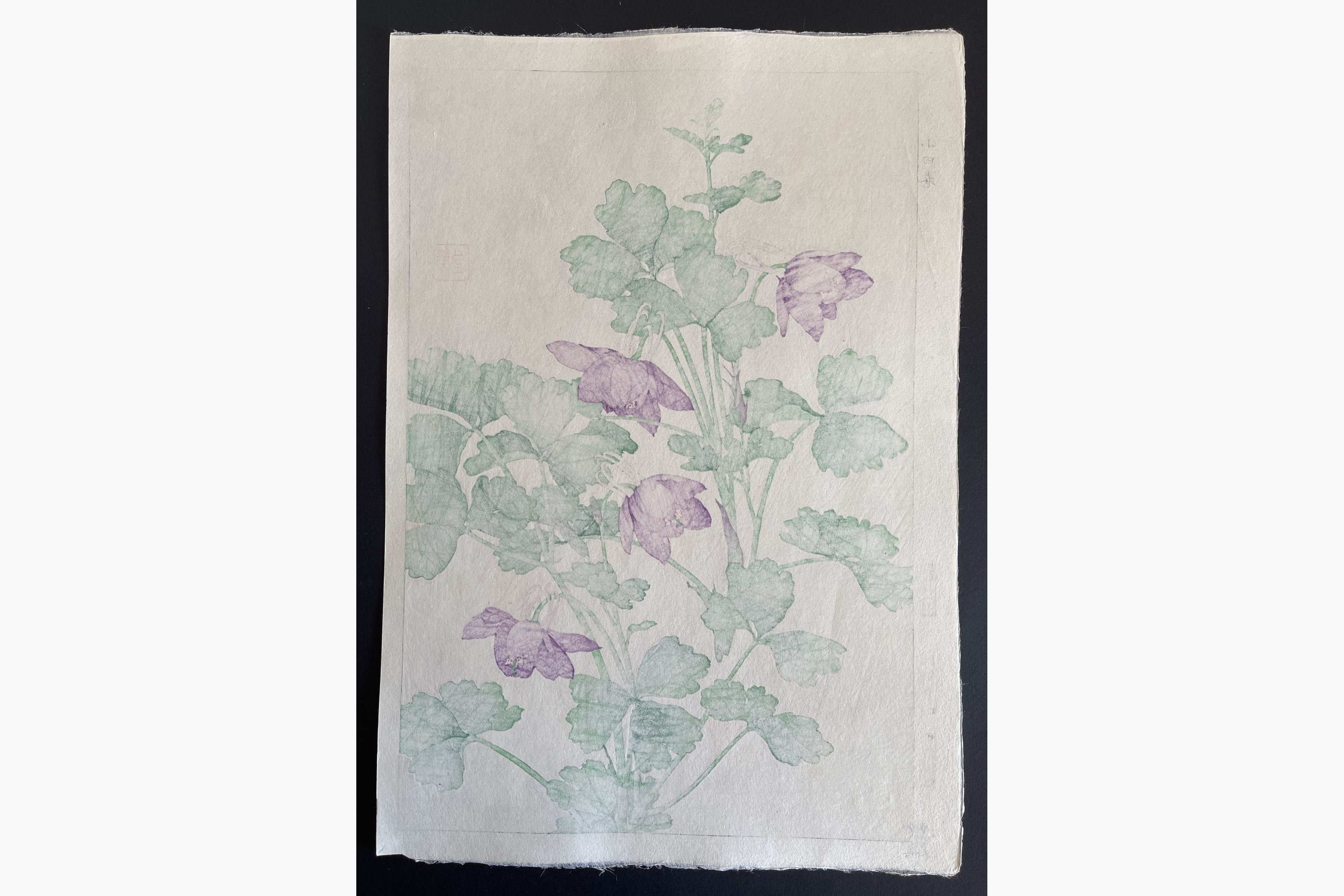 Japanese print - Kawarazaki Shodo - Columbine
