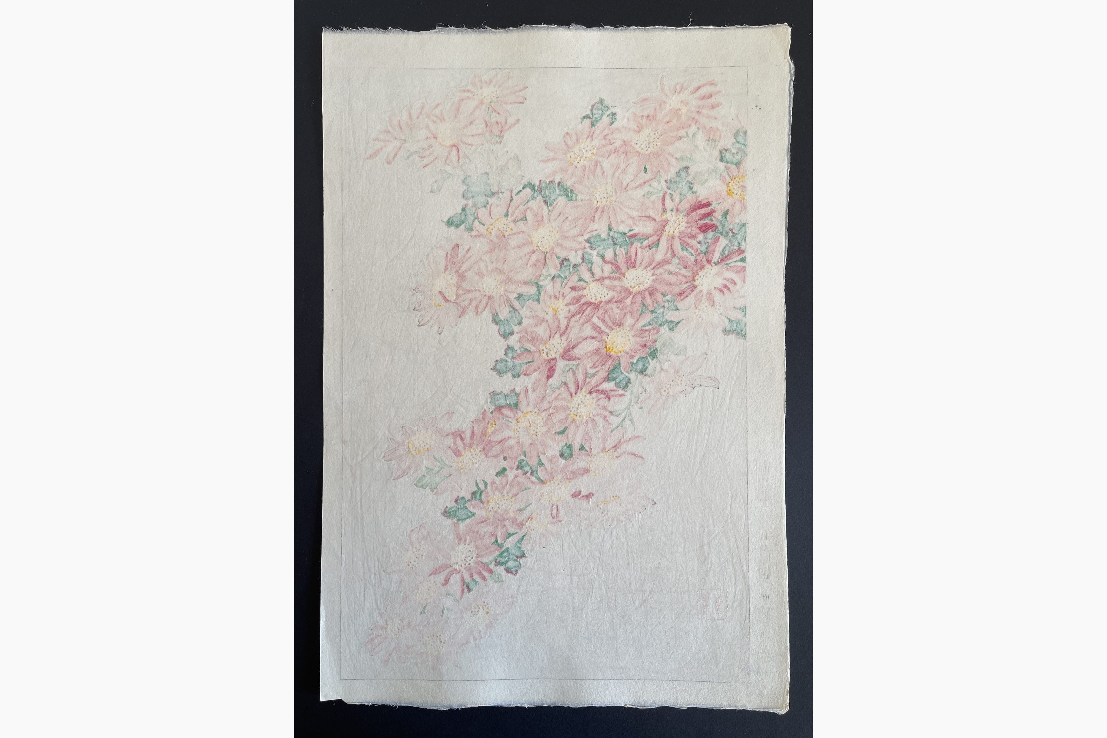 Japanese print - Kawarazaki Shodo - Crystanthemum (Pink)