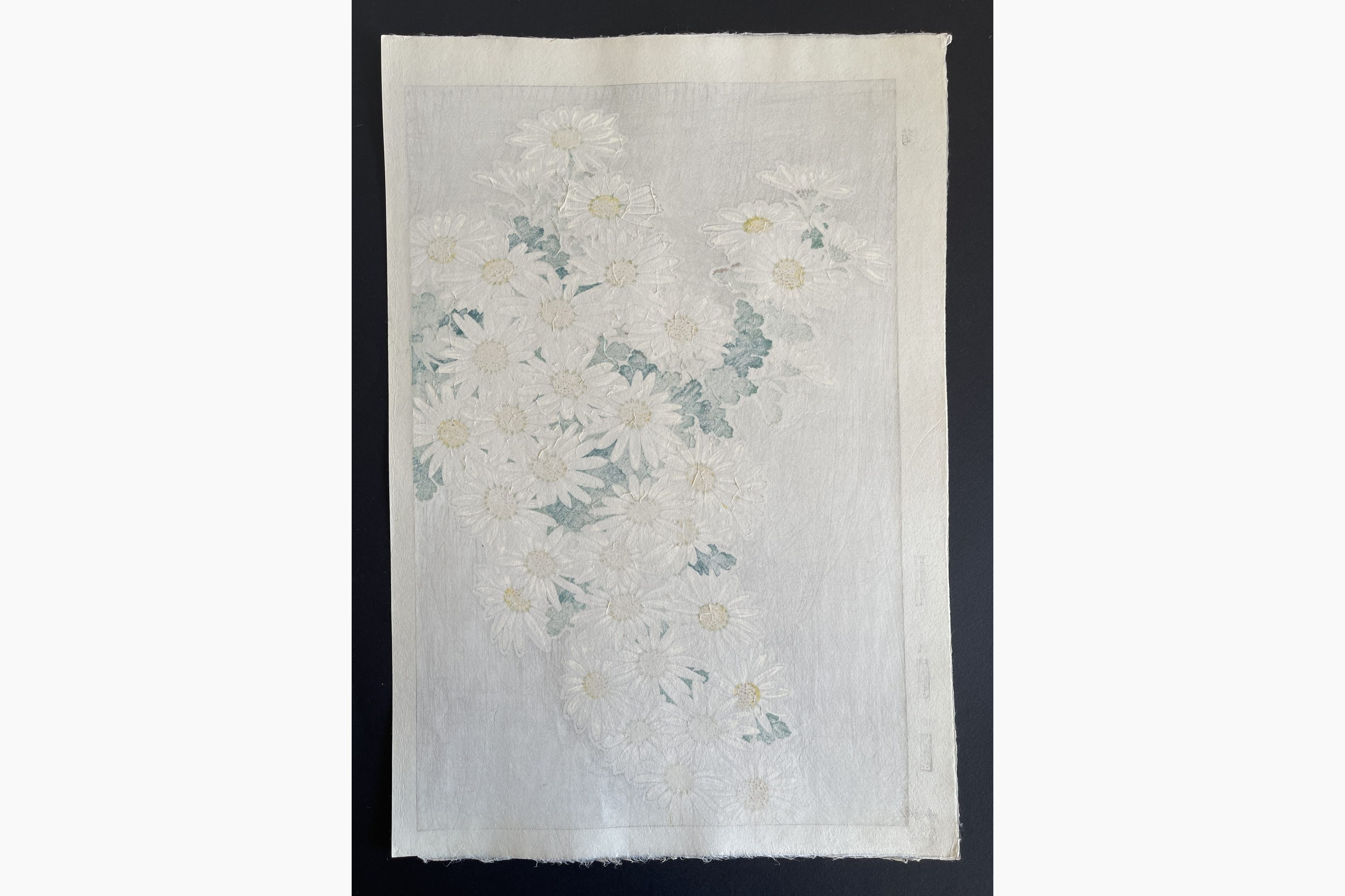 Japanese print - Kawarazaki Shodo - Crystanthemum (White)