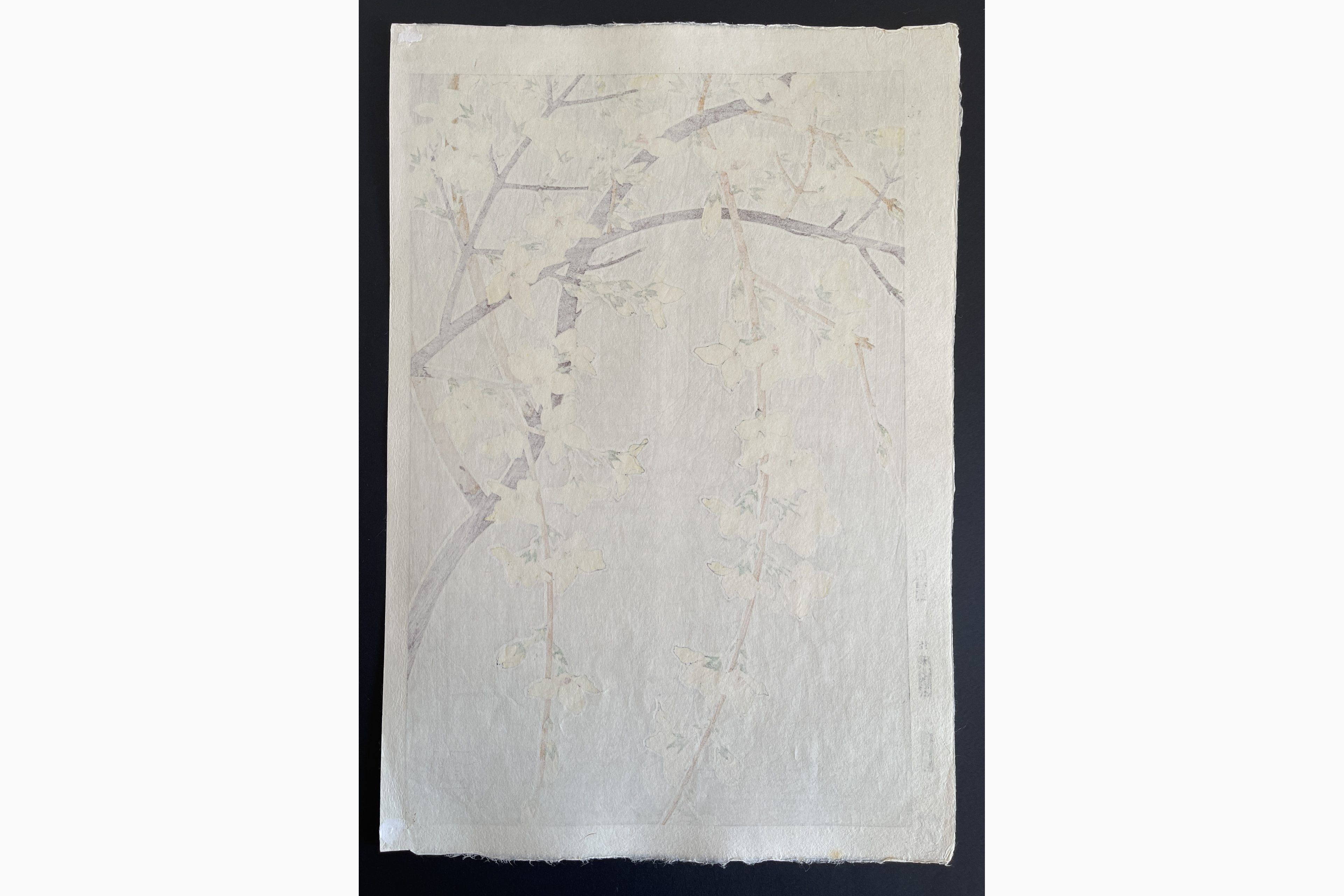 Japanese print - Kawarazaki Shodo - Forsythia