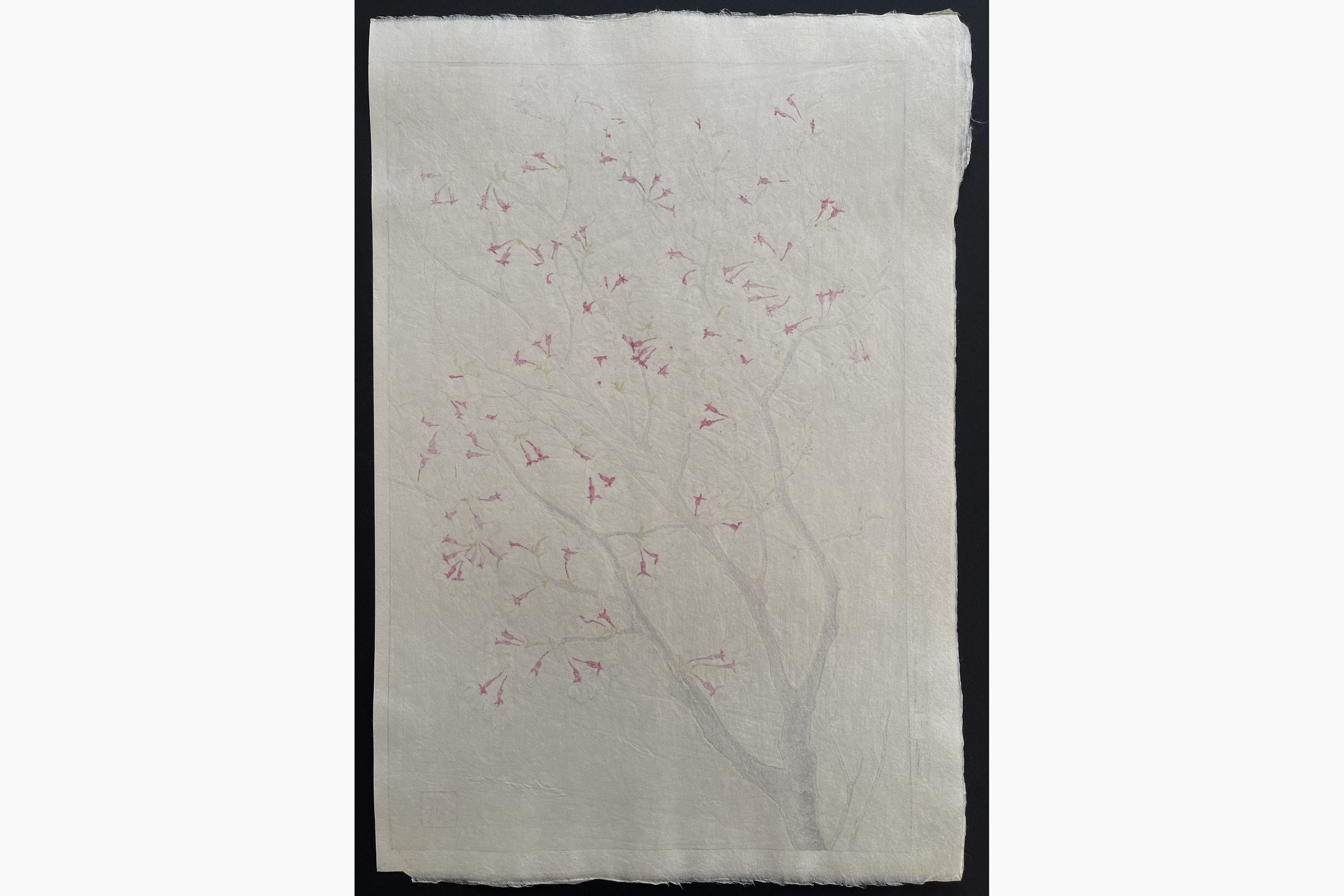 Japanese print - Kawarazaki Shodo - Wild Cherry