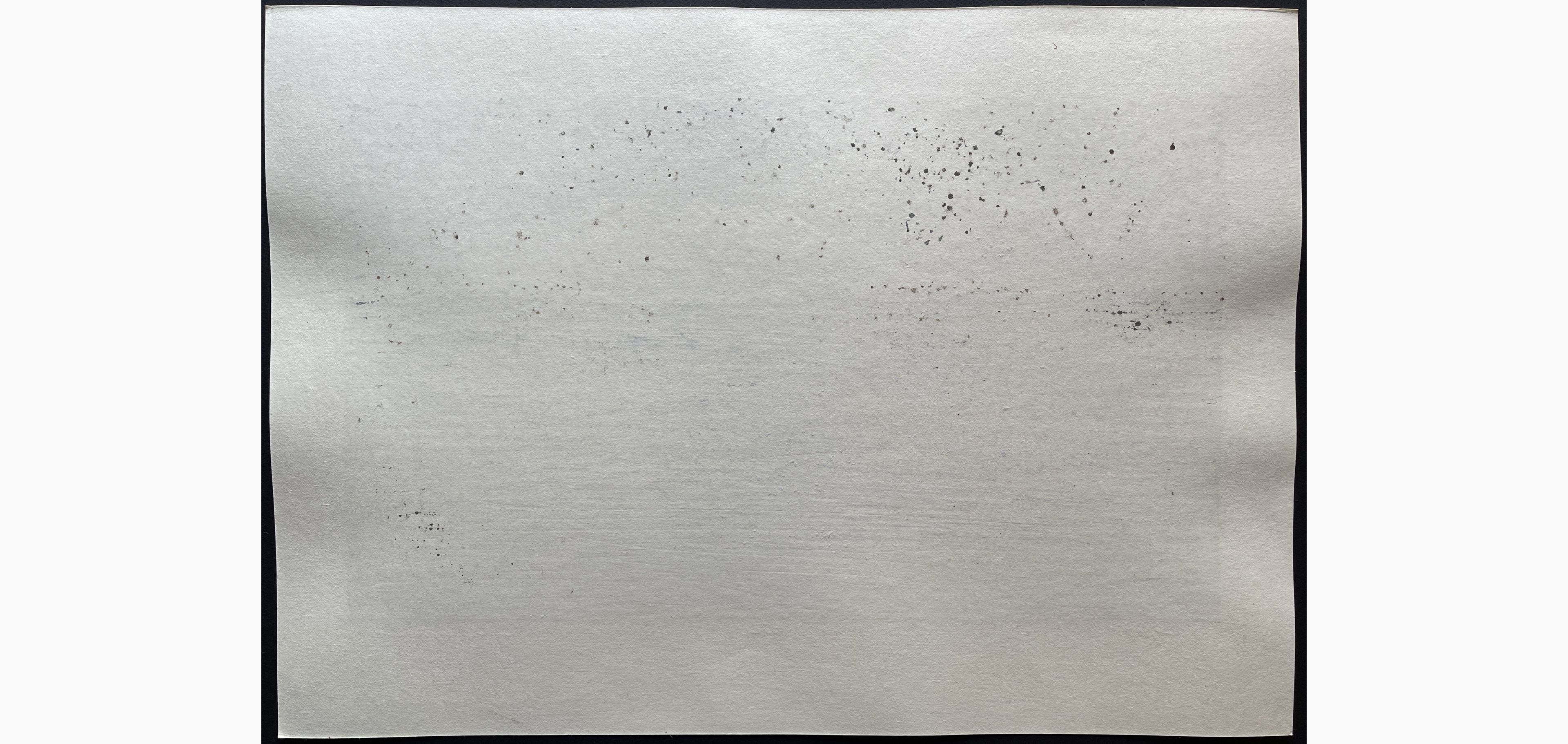 Japanese print - Nishijima Katsuyuki - Snowflakes in the Wind