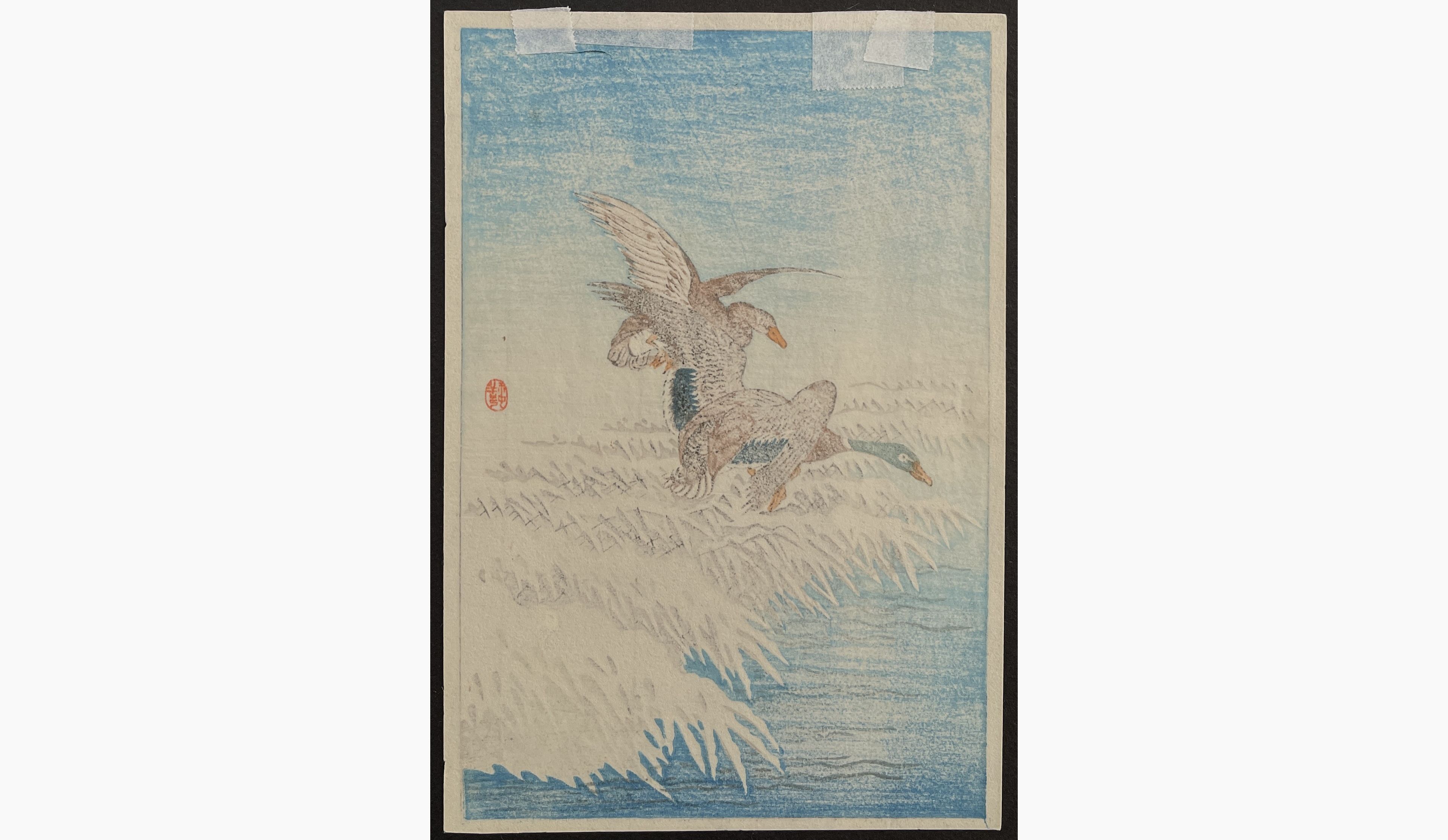 Japanese print - Ohara Koson - Two Ducks Flying above Snow-Covered Reeds
