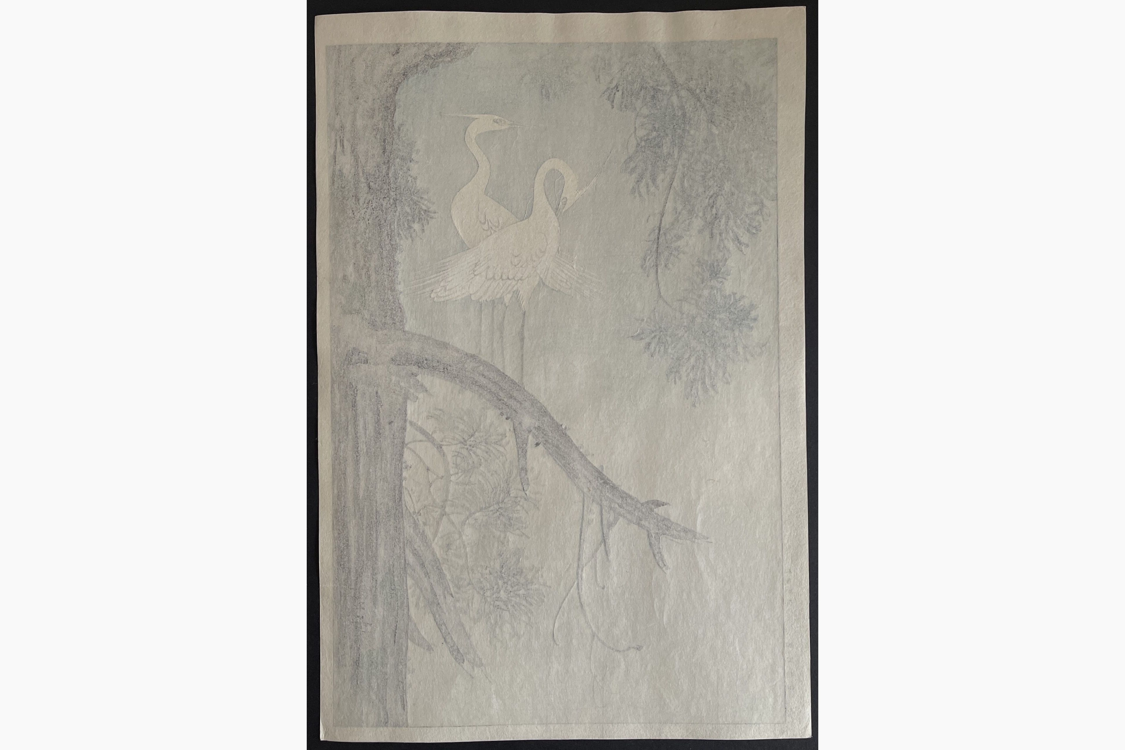 Japanese print - Ono Shigeyuki - Egrets on a Branch