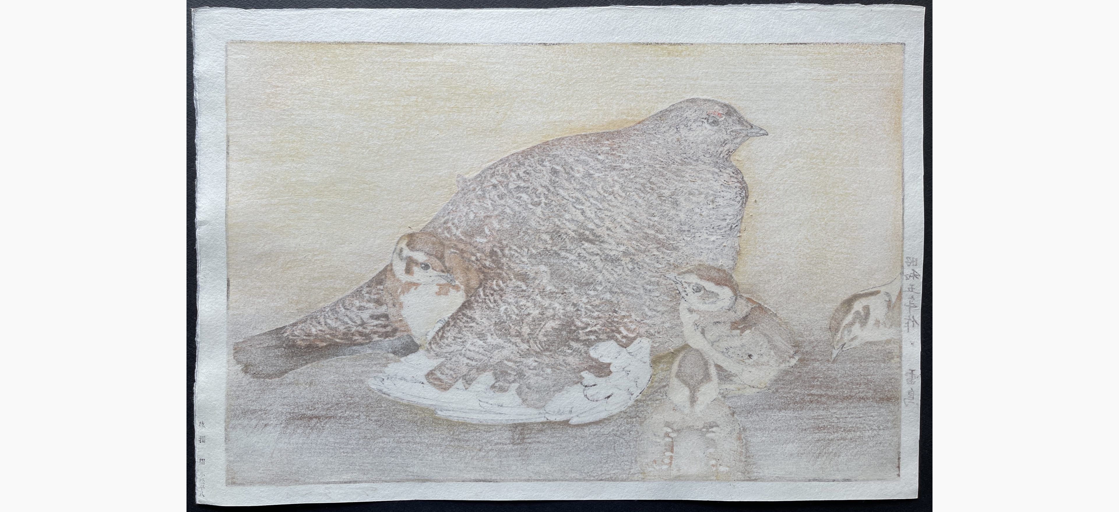 Japanese print - Toshi Yoshida - Raicho