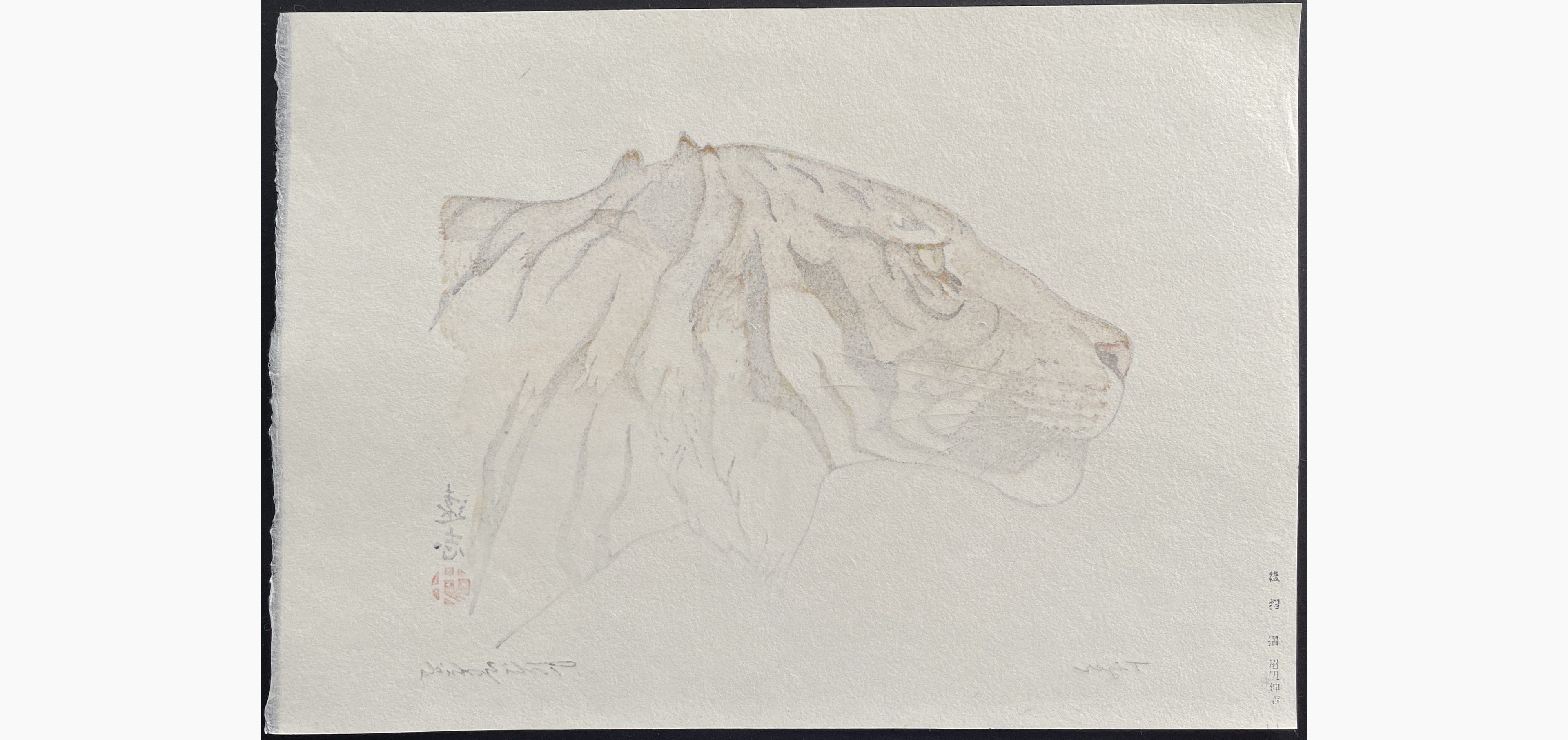 Japanese print - Toshi Yoshida - Tiger