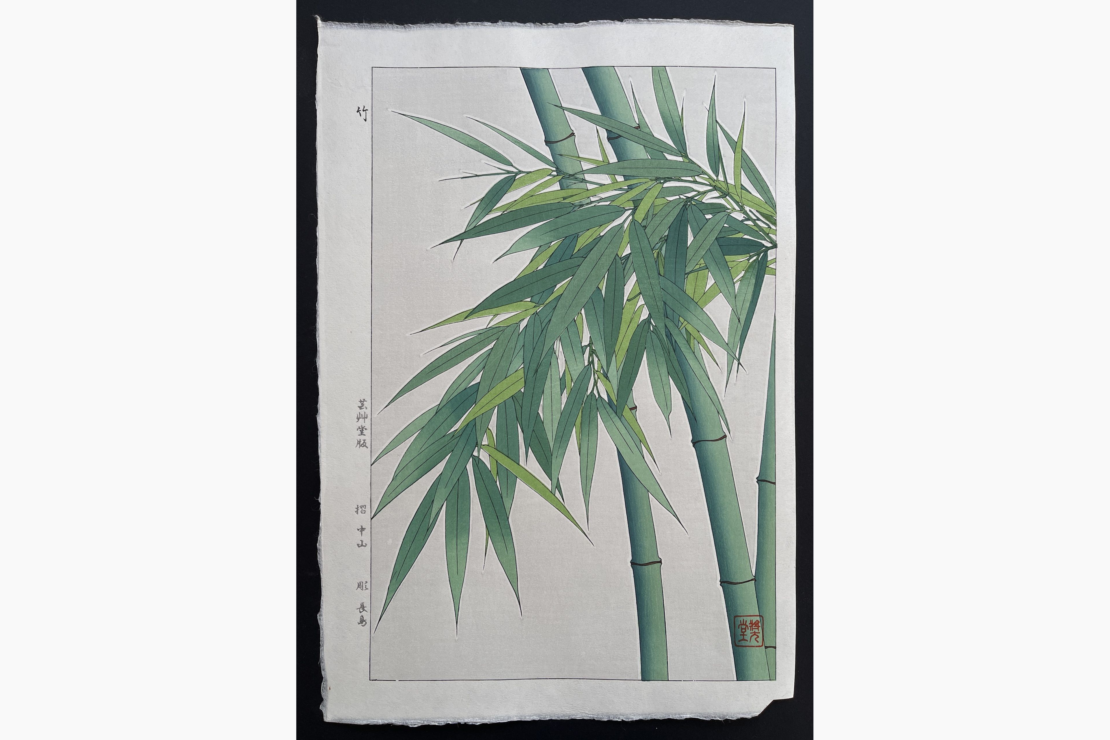 Japanese woodblock print - Kawarazaki Shodo - Bamboo