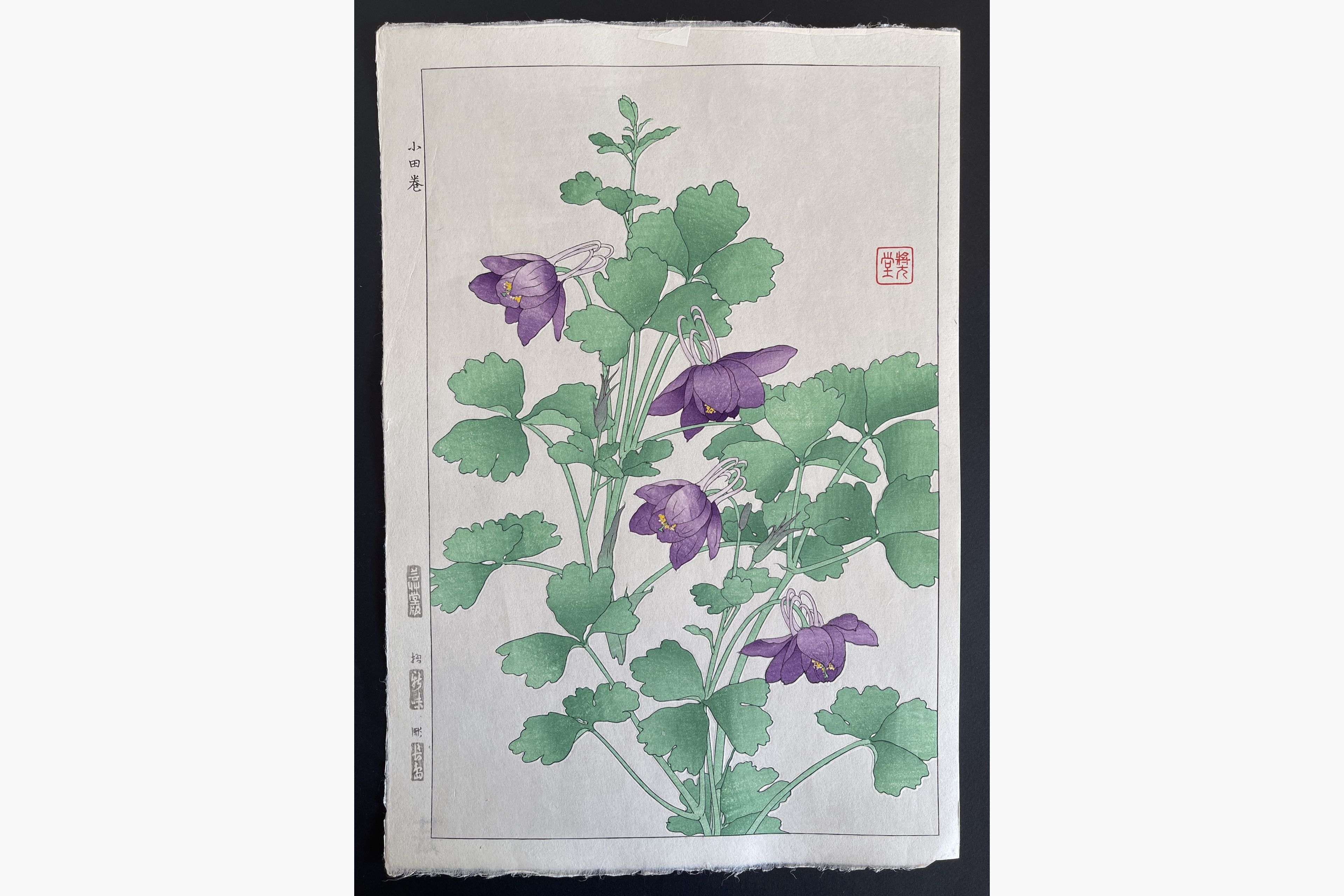 Japanese woodblock print - Kawarazaki Shodo - Columbine
