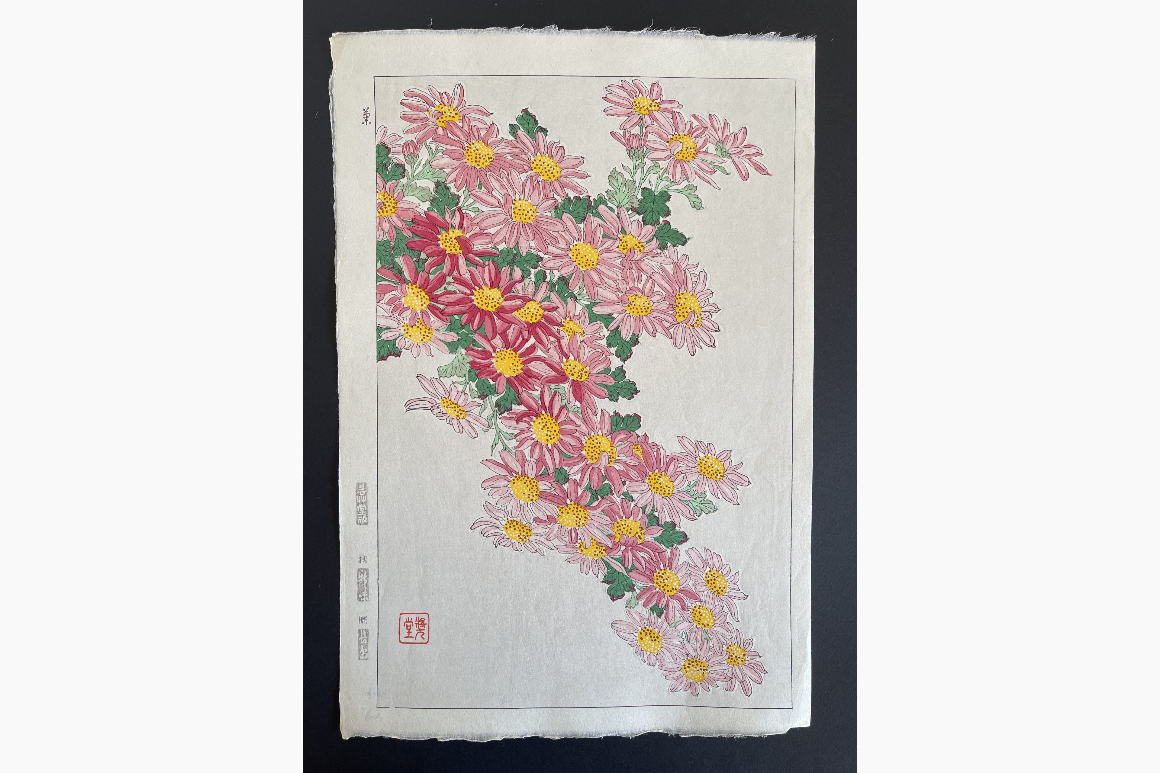 Japanese woodblock print - Kawarazaki Shodo - Crystanthemum (Pink)