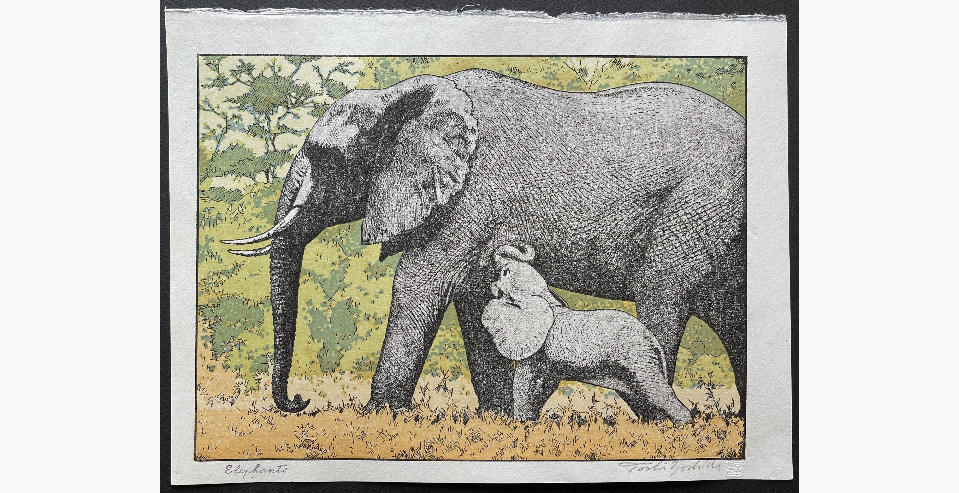 Japanese woodblock print - Toshi Yoshida - Elephants