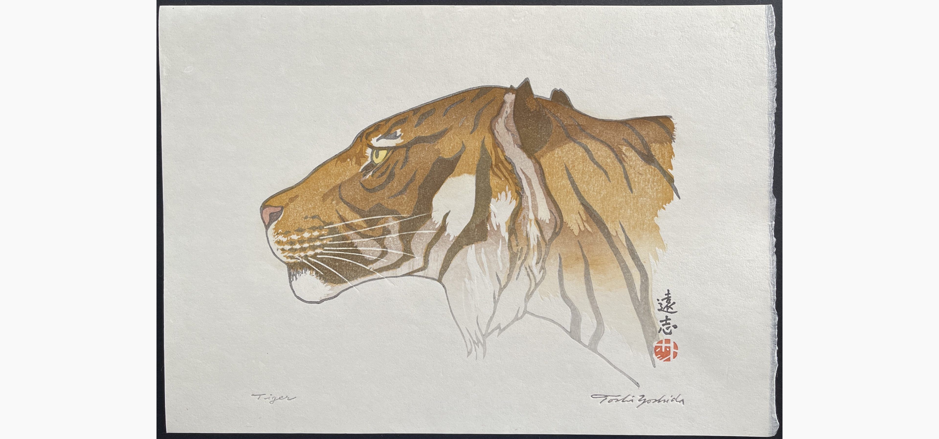Japanese woodblock print - Toshi Yoshida - Tiger