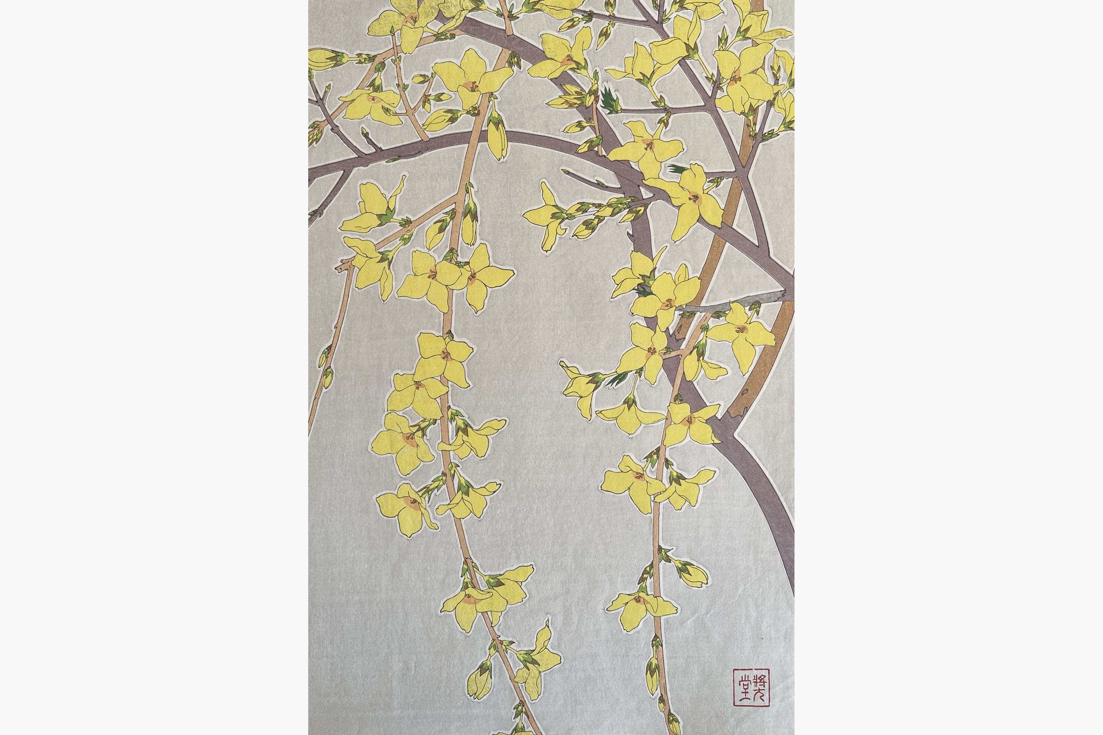 Original woodblock print - Kawarazaki Shodo - Forsythia