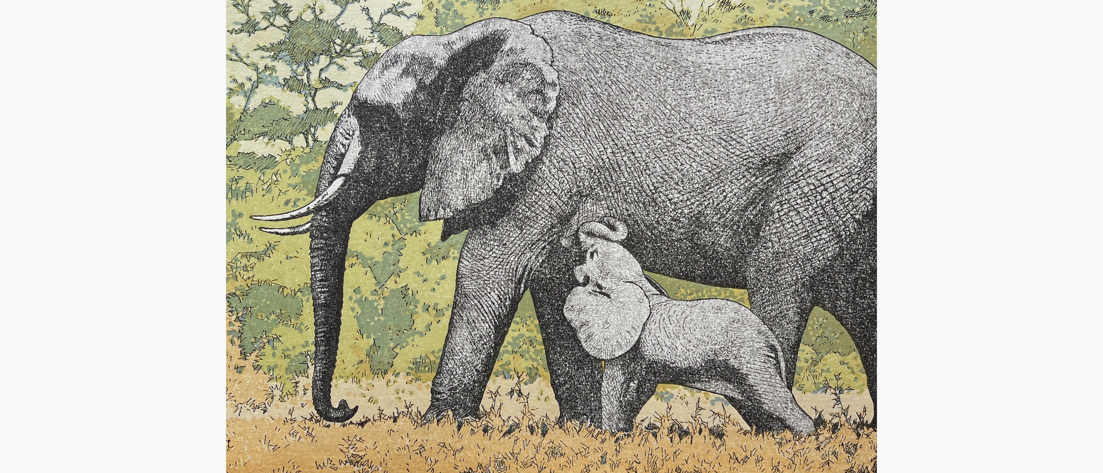 Original woodblock print - Toshi Yoshida - Elephants