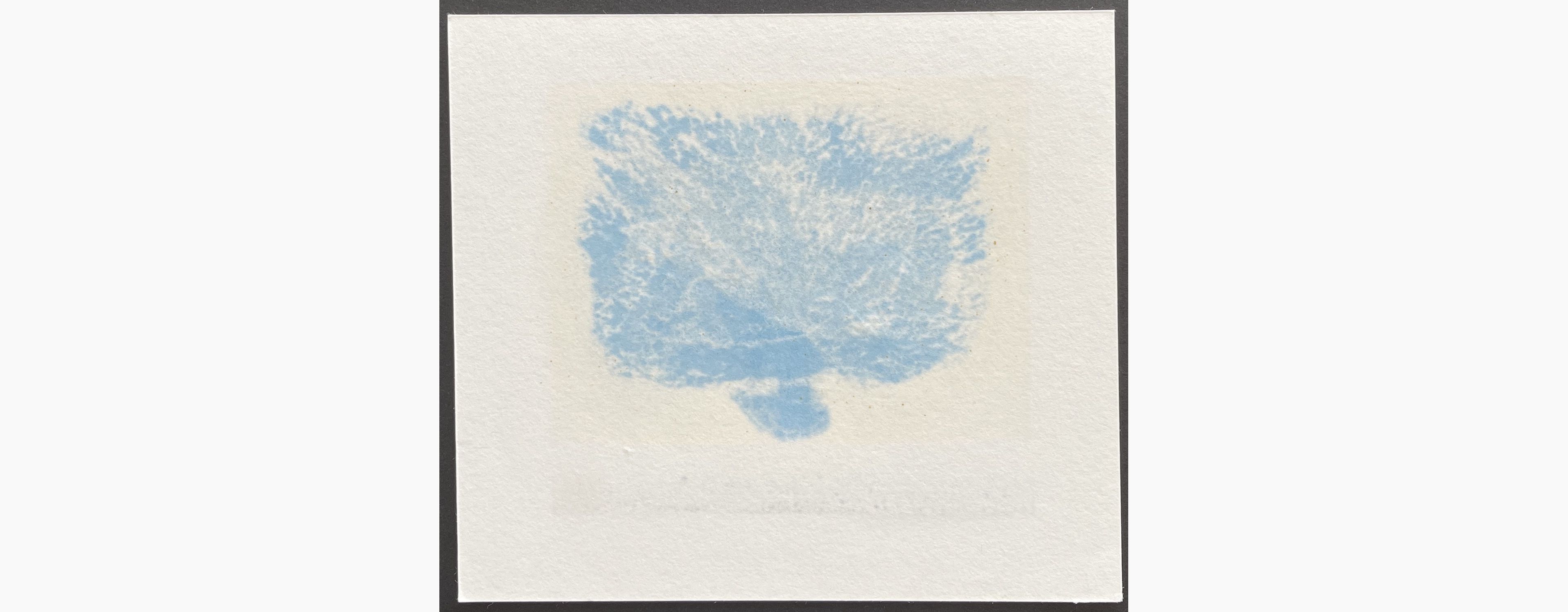Woodblock print - Kunio Kaneko - A Little Blue Tree