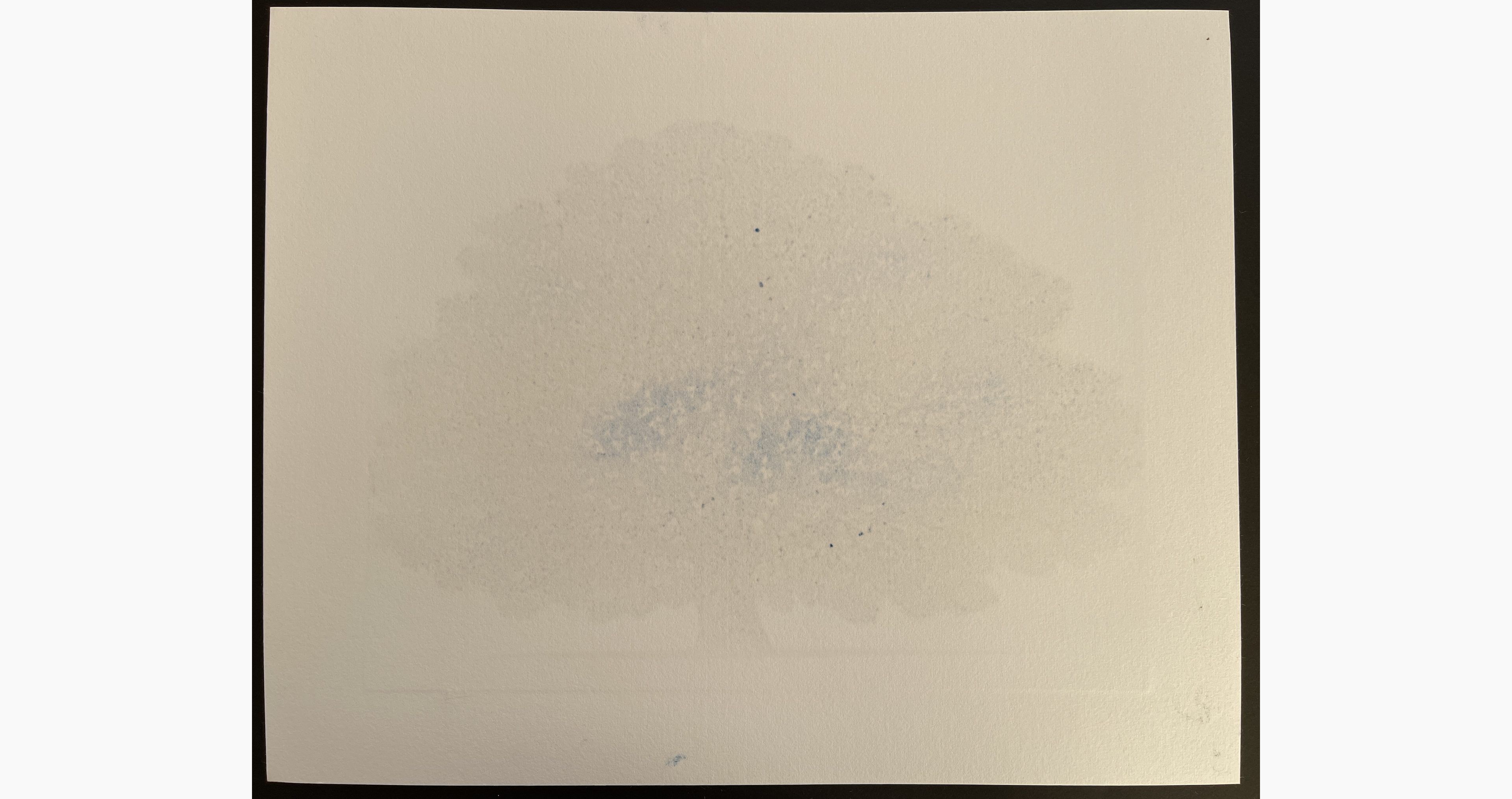 Japanese print - Hajime Namiki - Tree Scene 160B