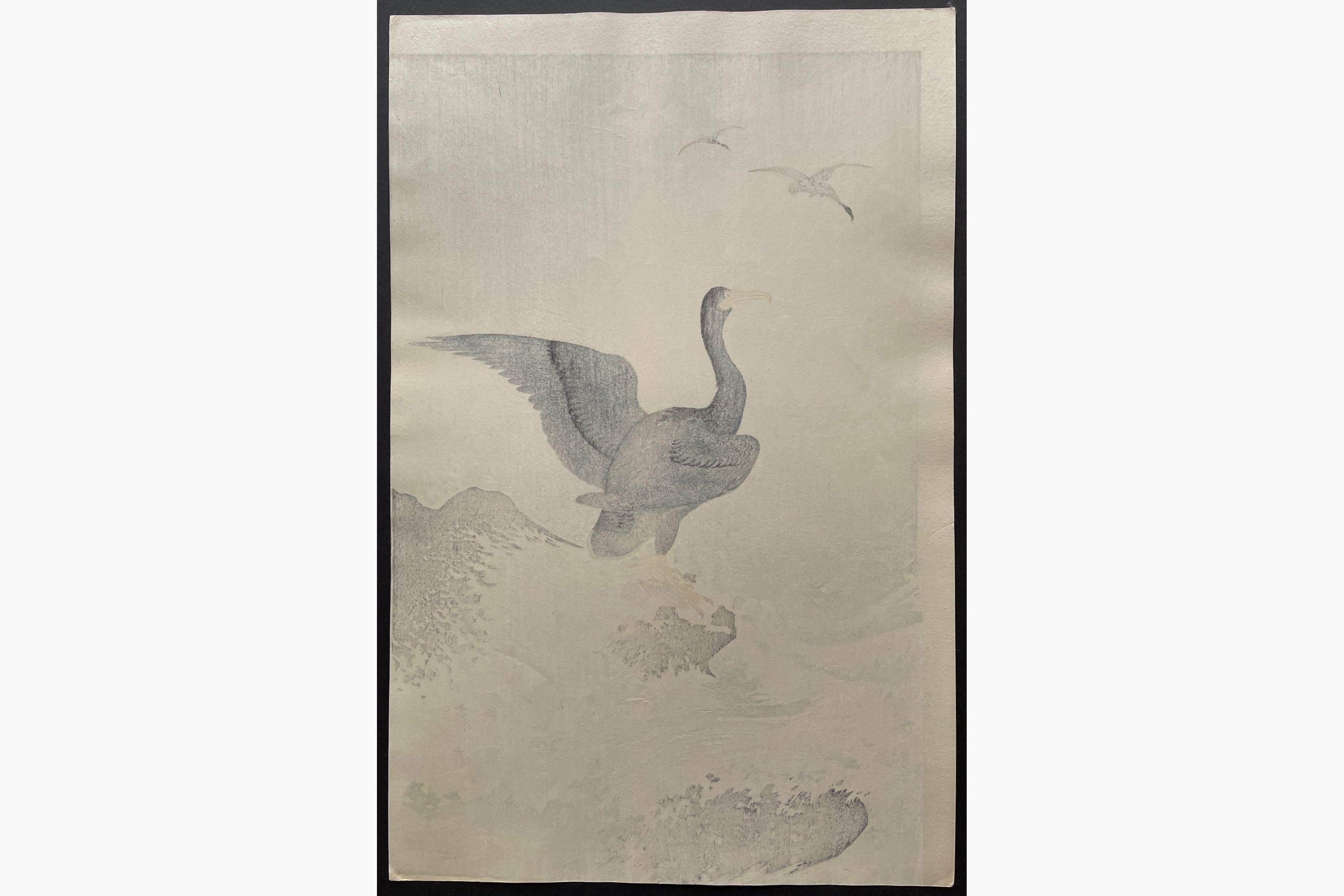 Japanese print - Ohara Koson - Cormorant and Waves