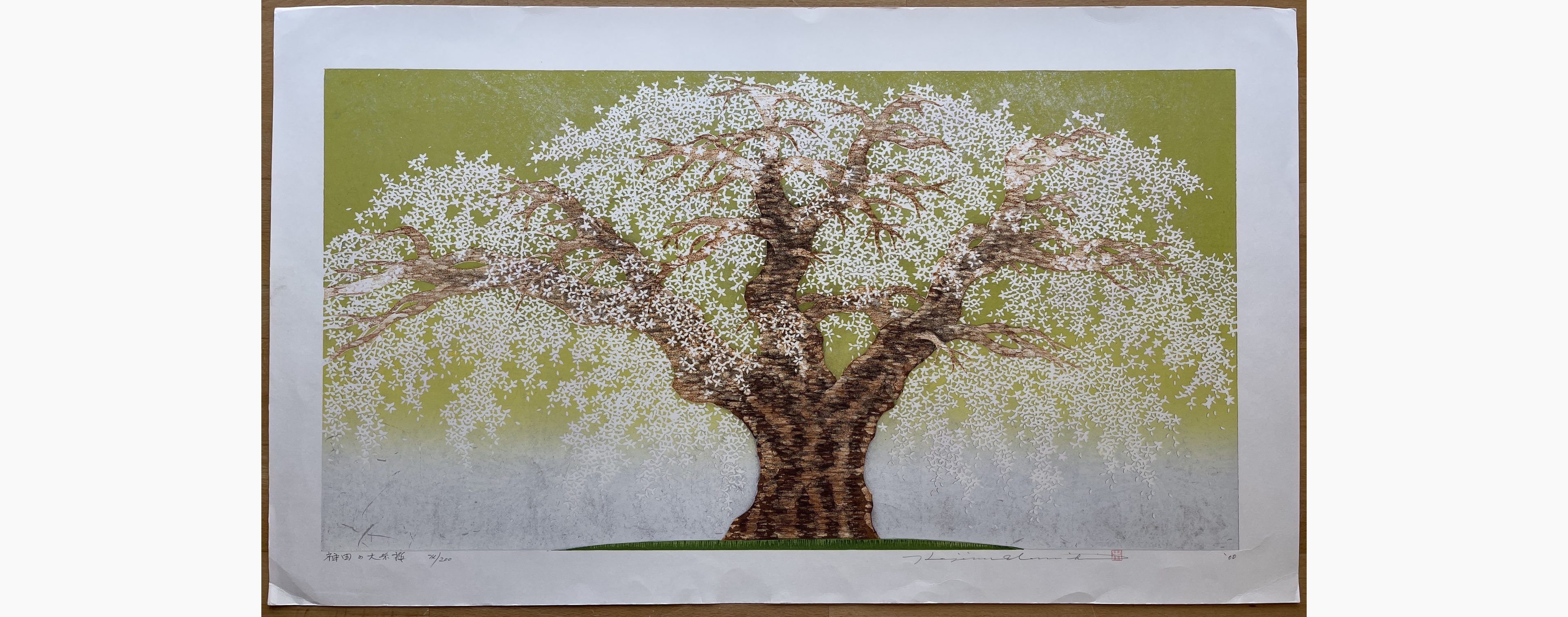 Japanese woodblock print - Hajime Namiki - Oito Sakura