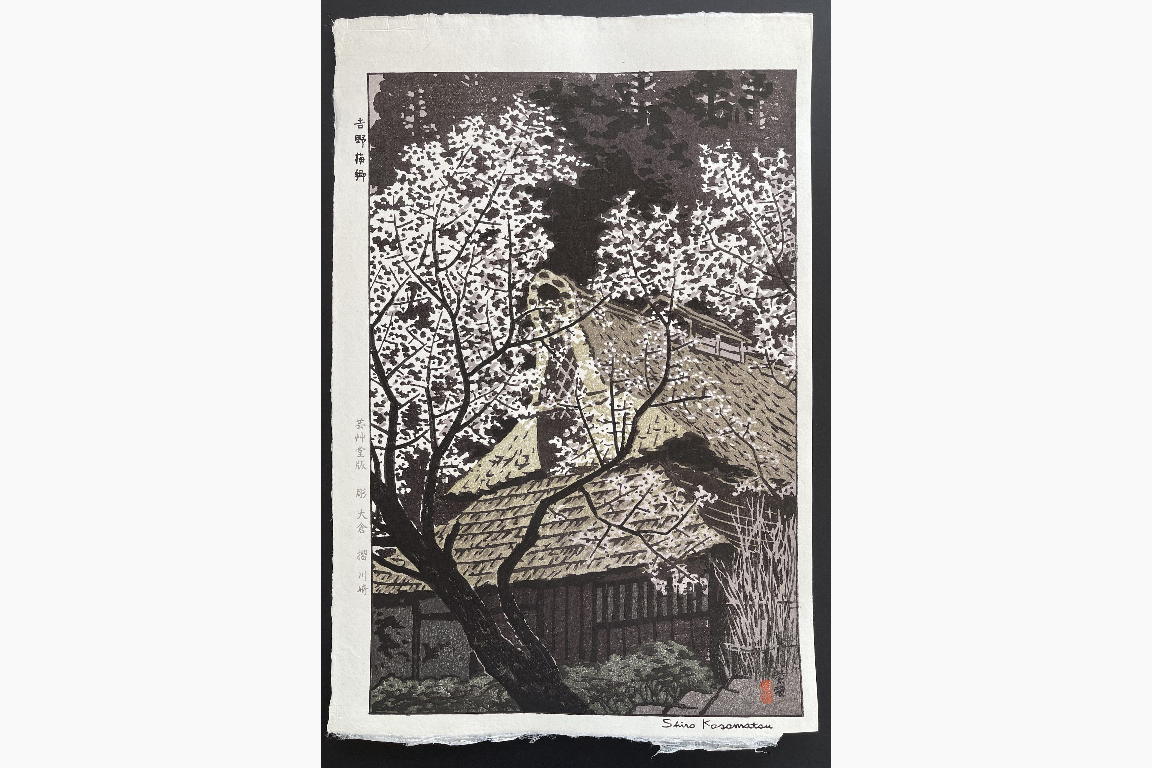 Japanese woodblock print - Kasamatsu Shiro - Plum Trees at Yoshino