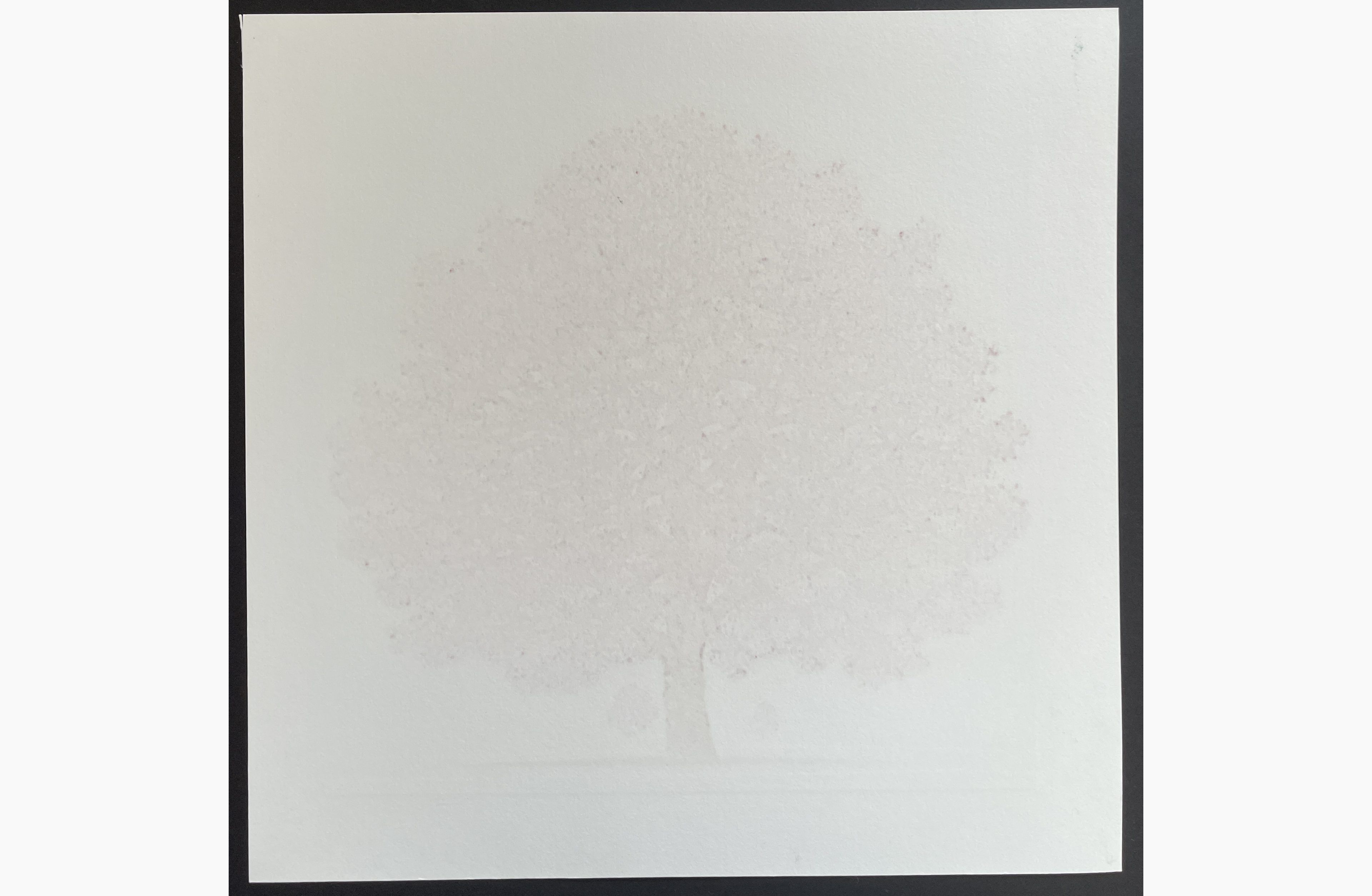 Woodblock print - Hajime Namiki - Dogwood 10