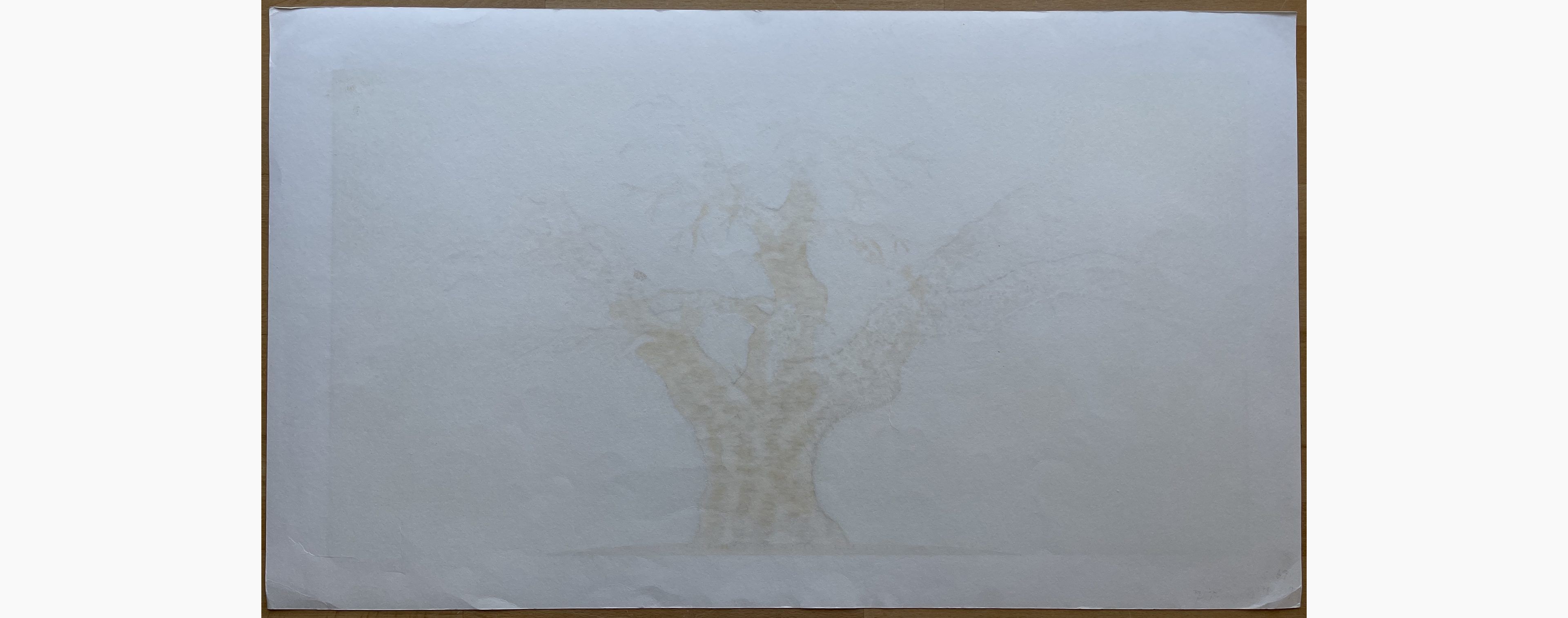 Woodblock print - Hajime Namiki - Oito Sakura