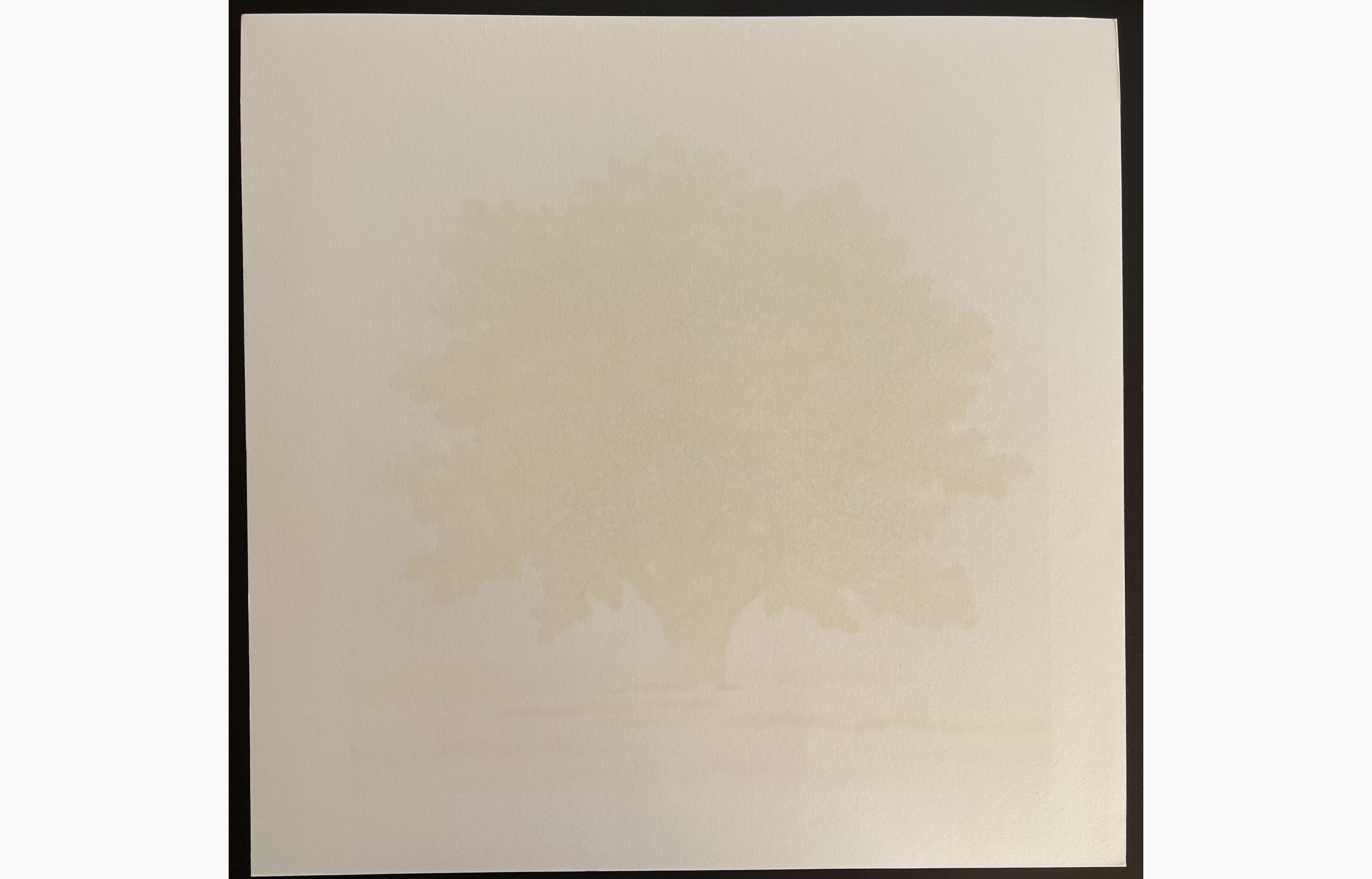 Woodblock print - Hajime Namiki - Tree Scene 147