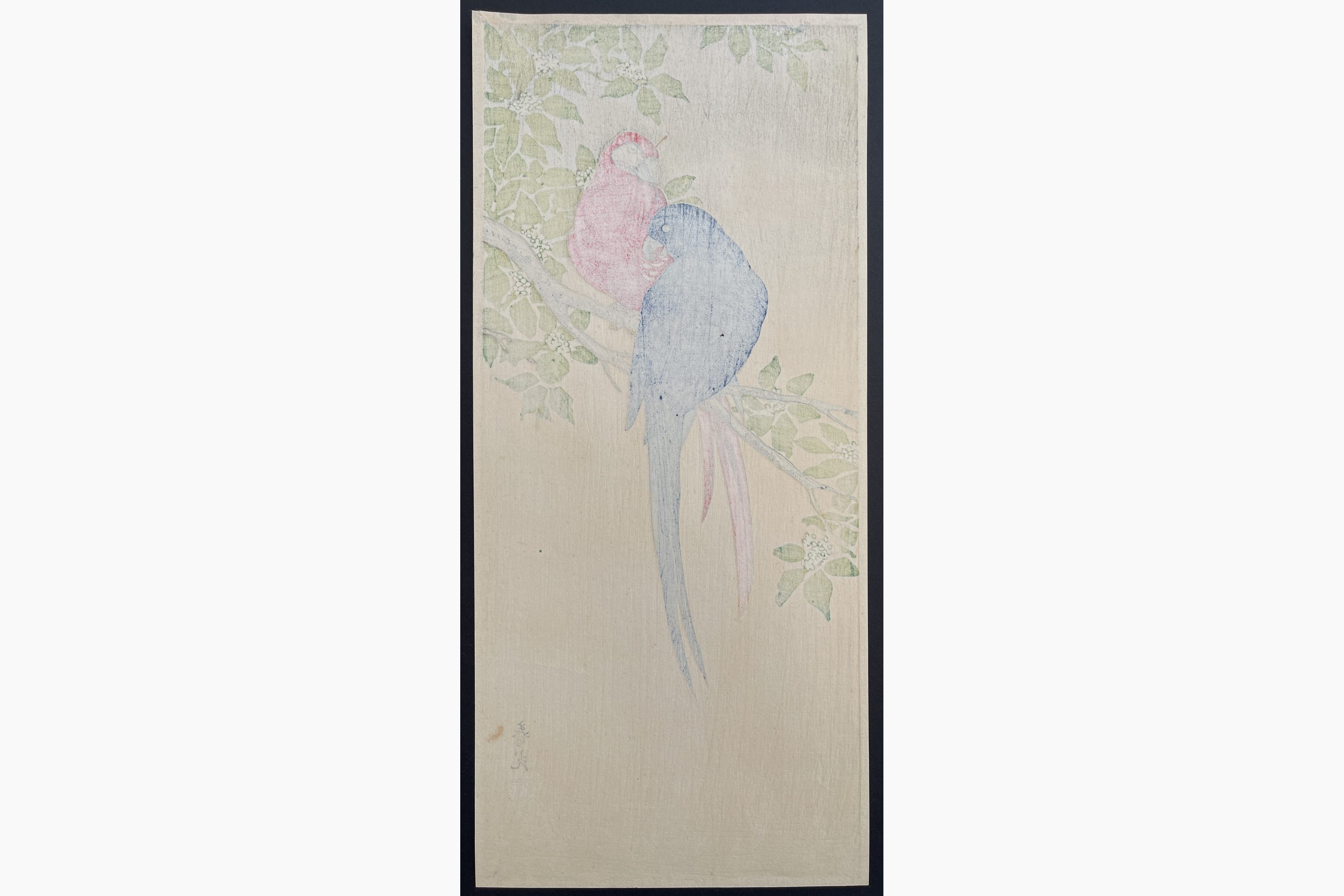 Japanese print - Ito Sozan - Parrots