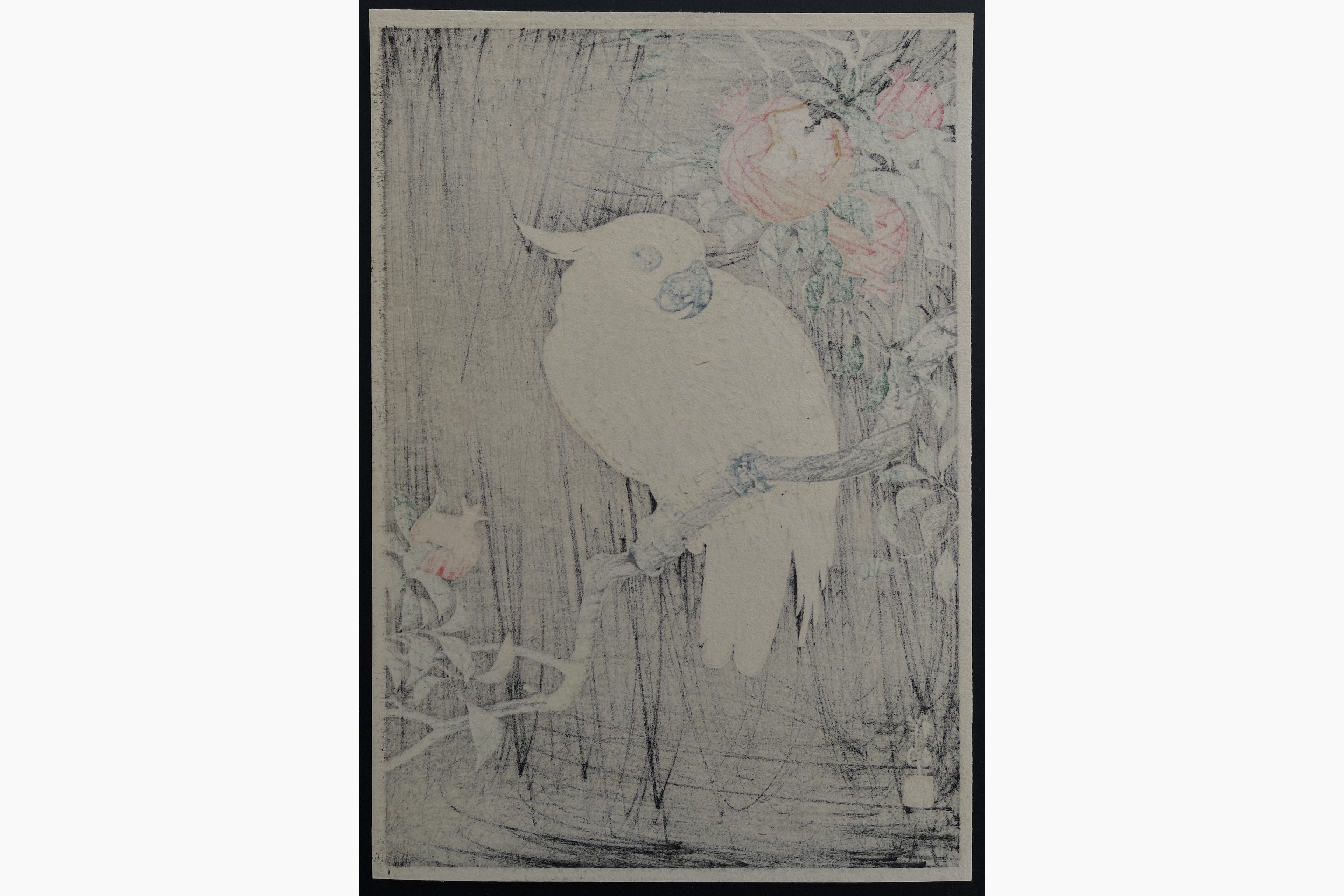 Japanese print - Ohara Koson - Cockatoo and Pomegranate
