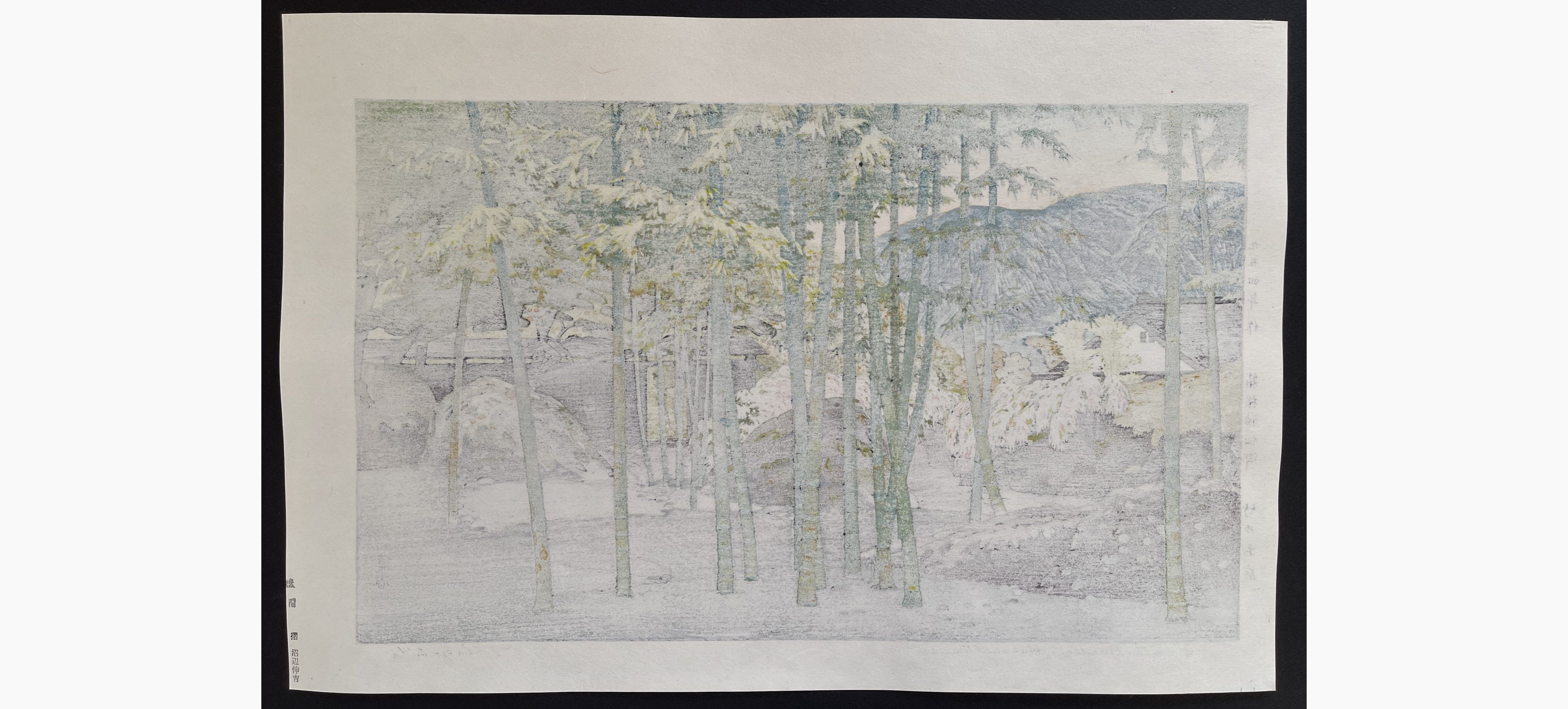 Japanese print - Toshi Yoshida - Bamboo Garden, Hakone Museum