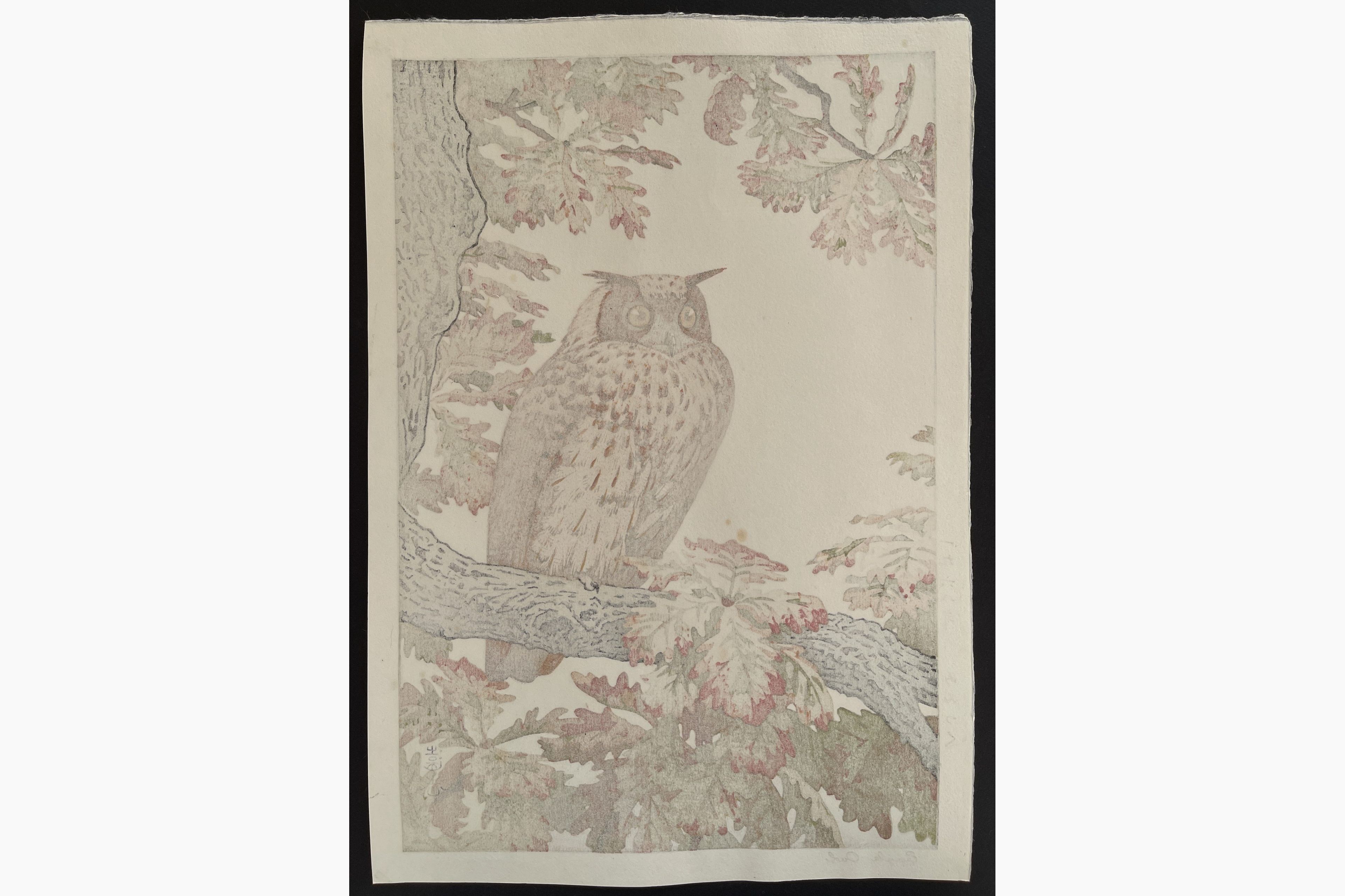 Japanese print - Toshi Yoshida - Eagle Owl