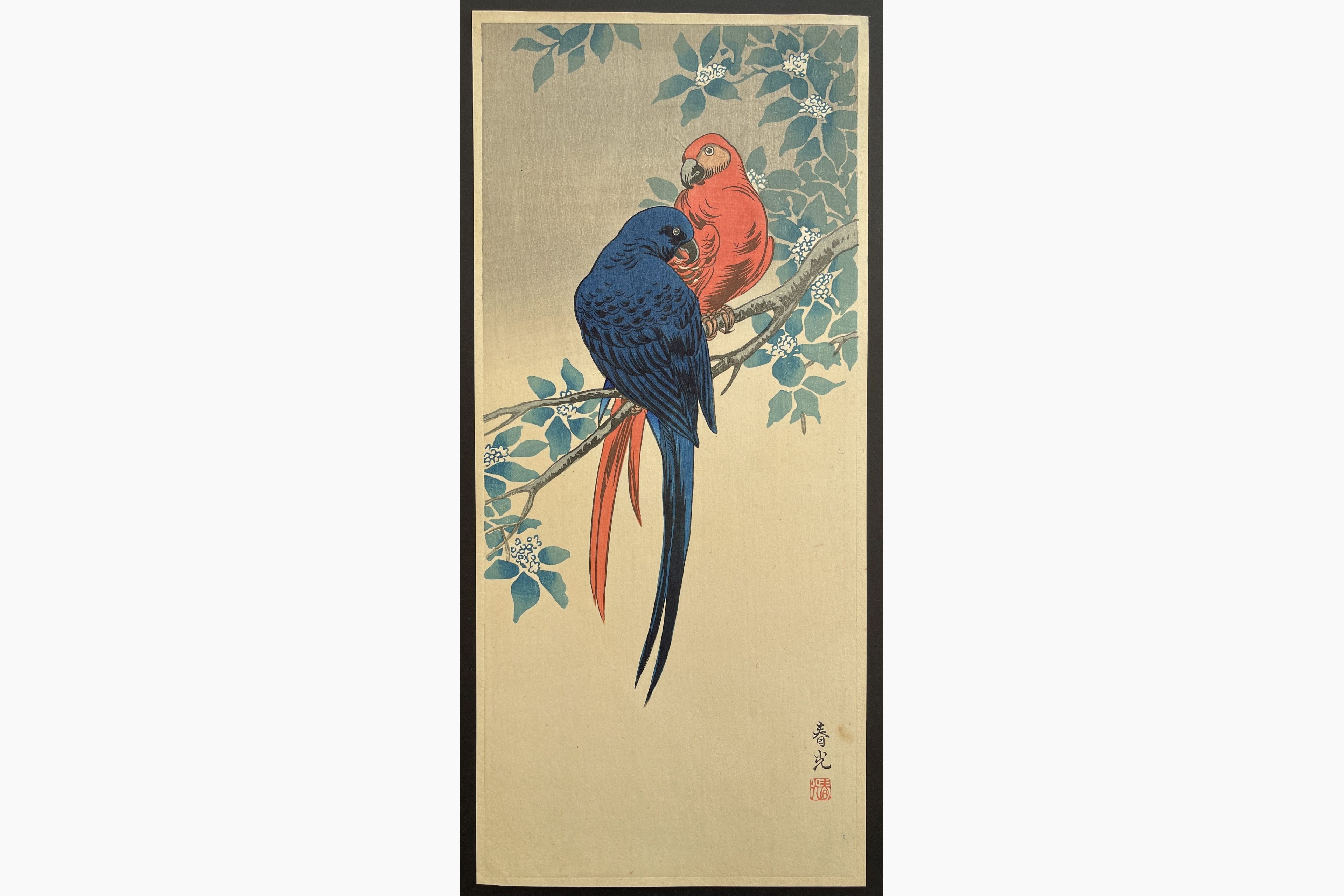Japanese woodblock print - Ito Sozan - Parrots