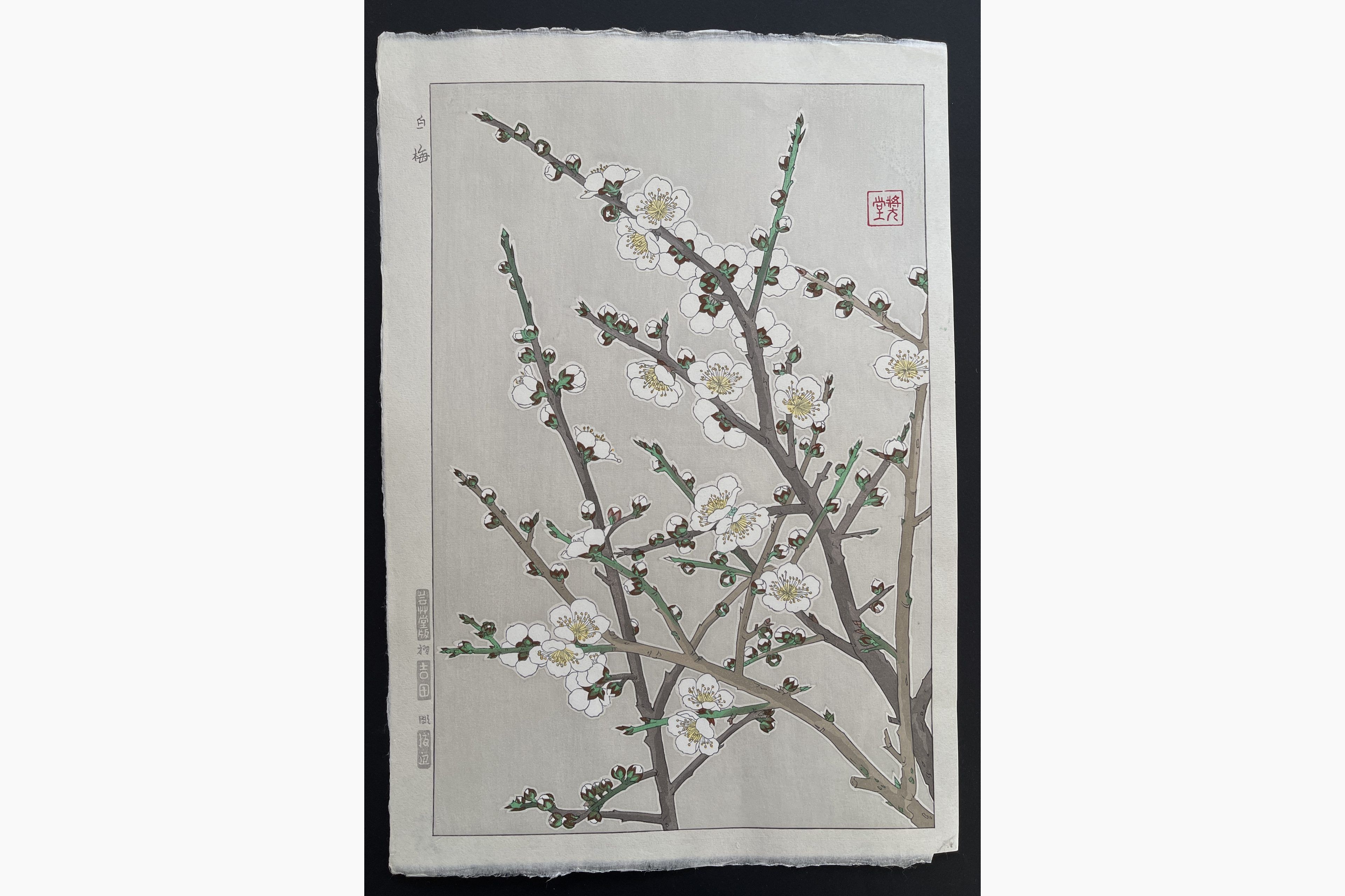 Japanese woodblock print - Kawarazaki Shodo - White Plum